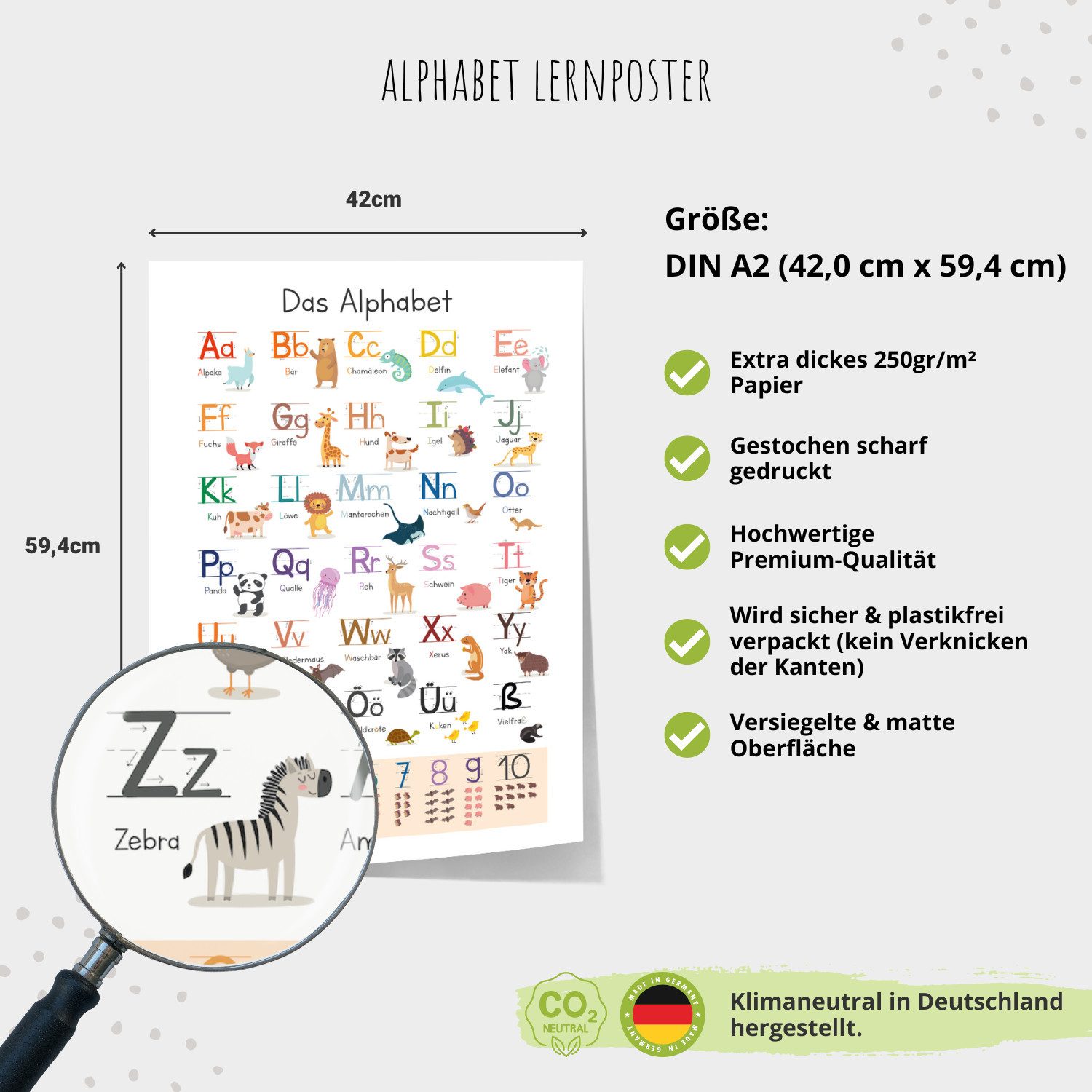 MeinBaby123® Poster Grundschrift Lernposter, ABC Alphabet Poster Kinder, Kindergarten, Grundschule, + Übungsblätter – Bild 4 von 5