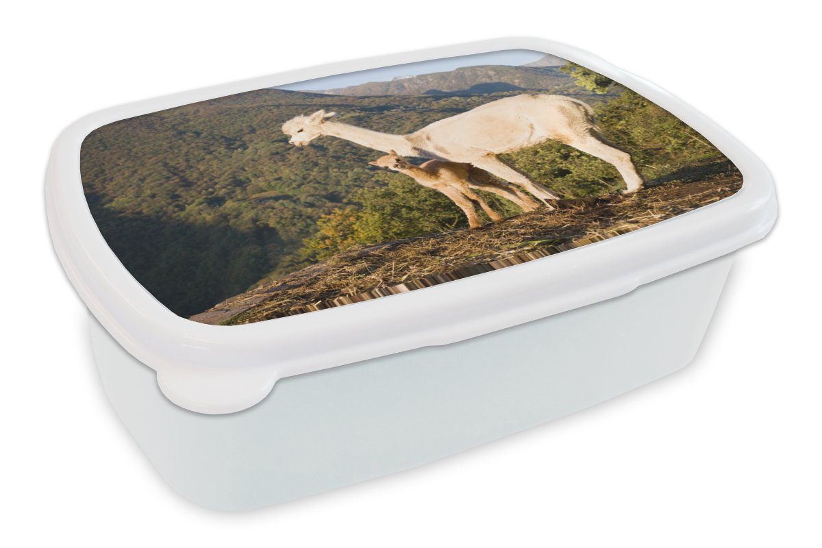 Brotdose, Alpakas Lunchbox weiß für und MuchoWow Erwachsene, Brotbox Mädchen Kunststoff, - und Natur, Berge - (2-tlg), Kinder für Jungs