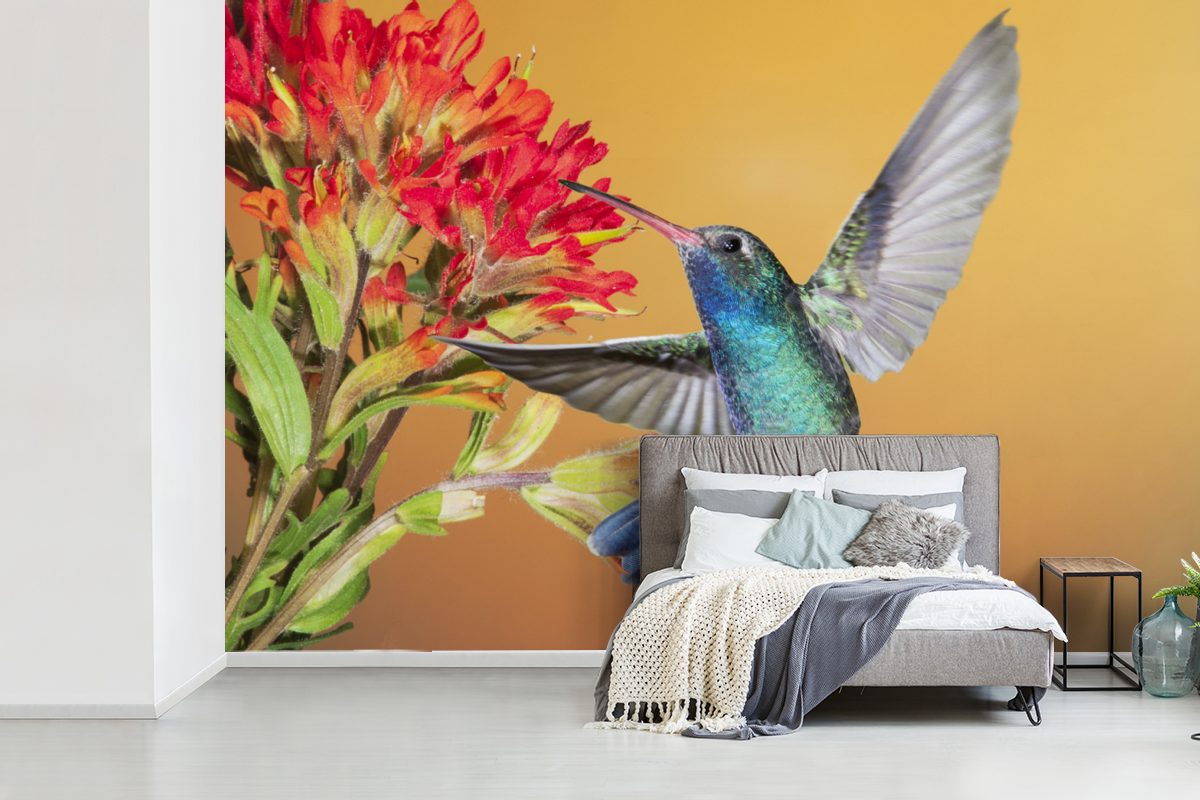 MuchoWow Fototapete Vogel - Kolibri bedruckt, (6 Wohnzimmer, Schlafzimmer, Blumen, Tapete Kinderzimmer, Matt, für St), - Wallpaper Vinyl