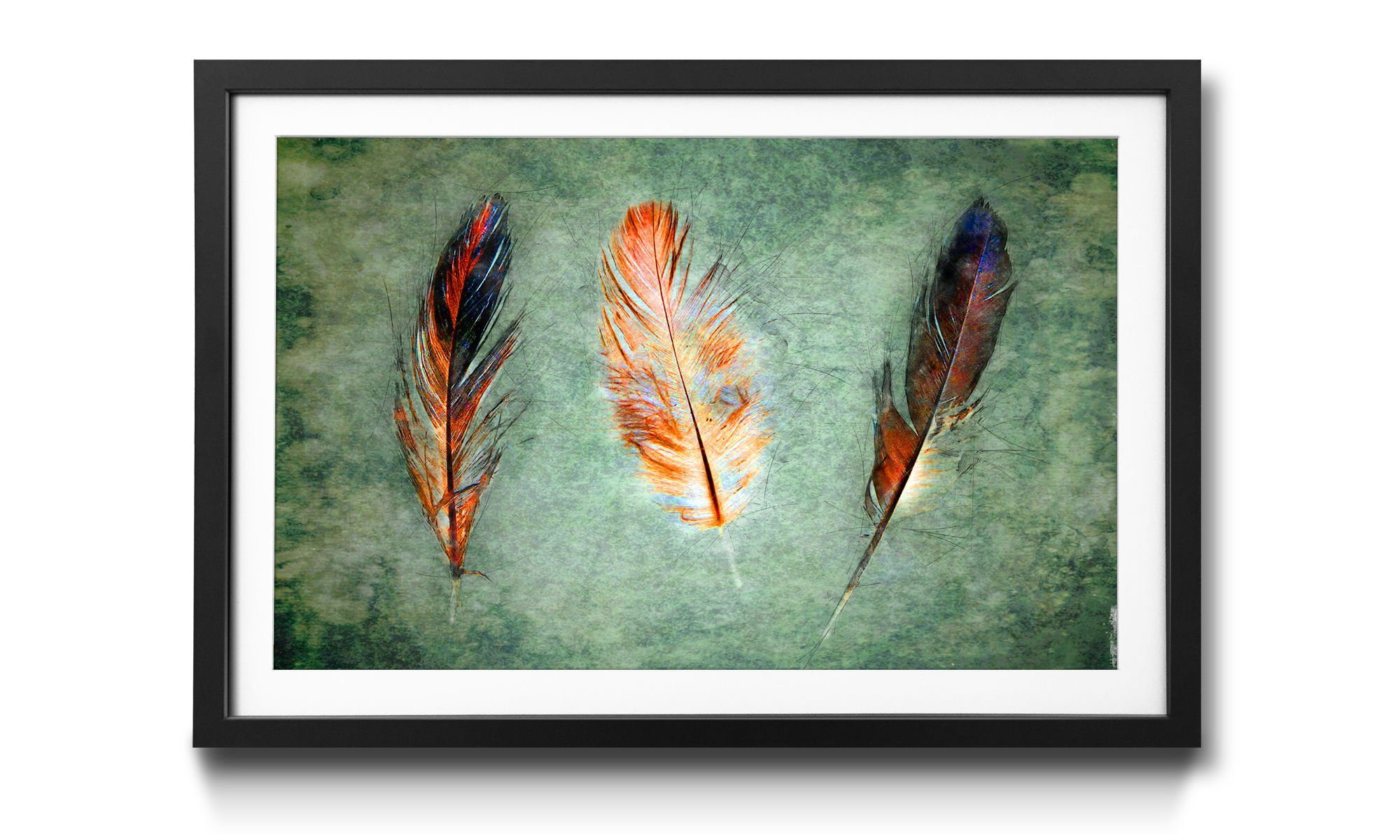 4 Vogelfedern, Wandbild, in Bild Größen Weightless, erhältlich Rahmen mit WandbilderXXL