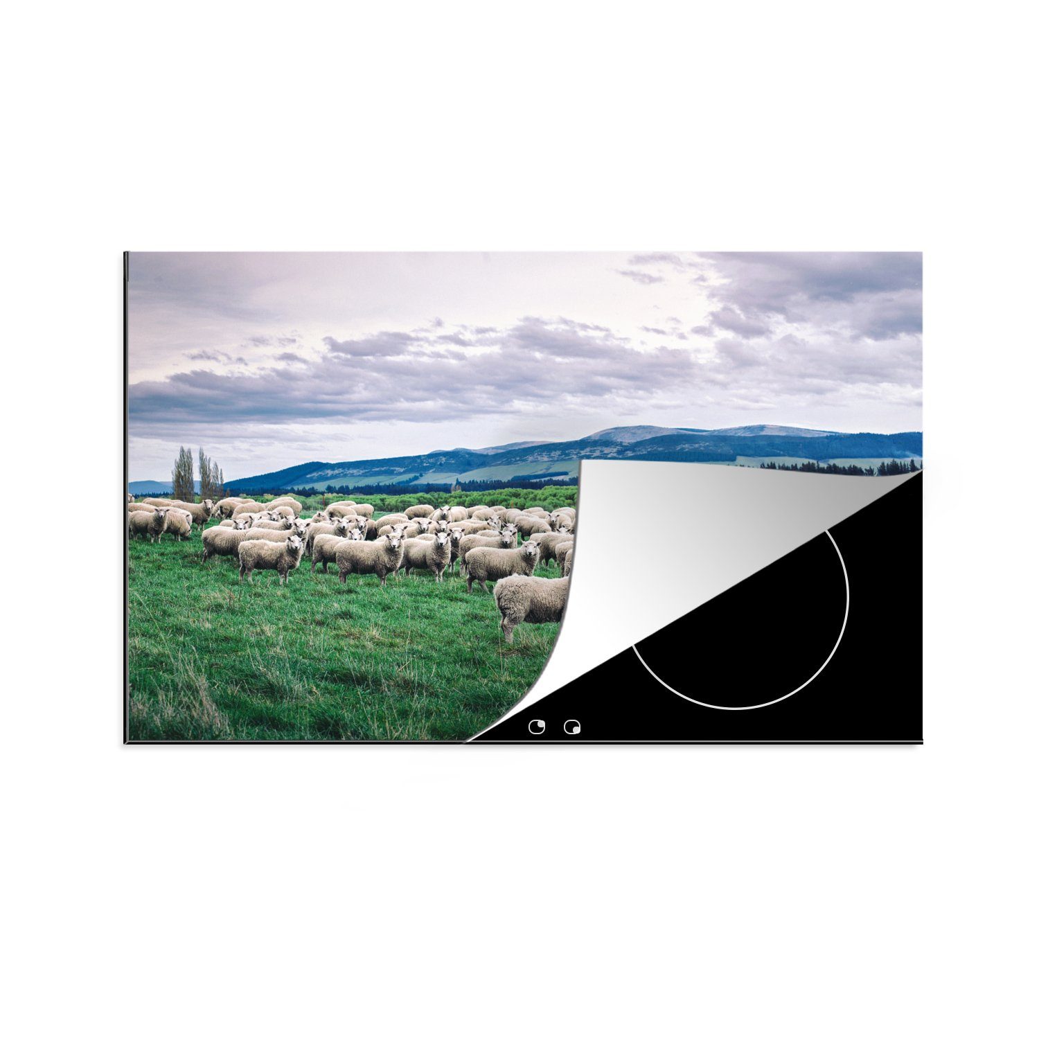 küche, (1 Herdblende-/Abdeckplatte die Gras, für Schafe - tlg), Schutz Natur cm, Vinyl, 81x52 Ceranfeldabdeckung MuchoWow - Induktionskochfeld