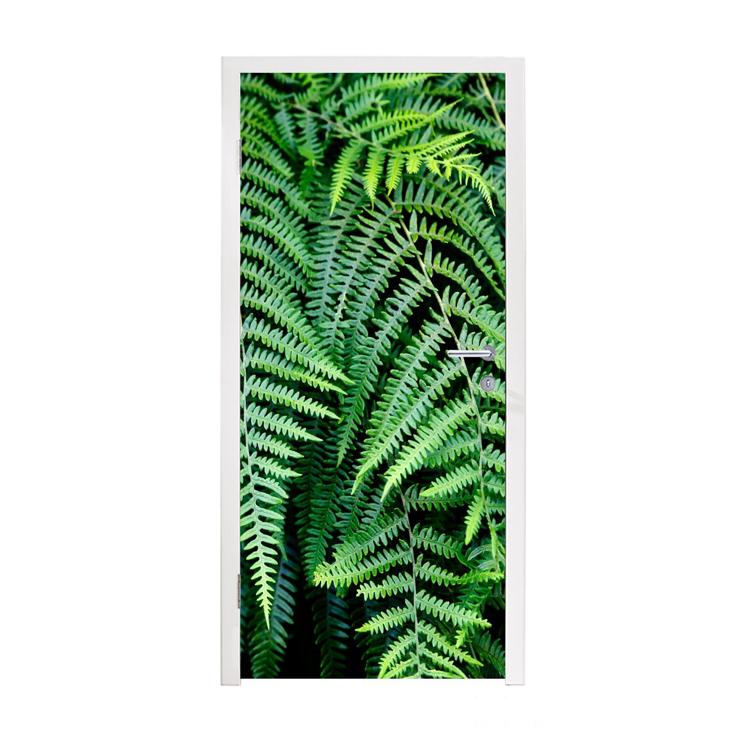 MuchoWow Türtapete Grüne Farne, (1 Tür, Matt, für Türaufkleber, St), bedruckt, Fototapete cm 75x205