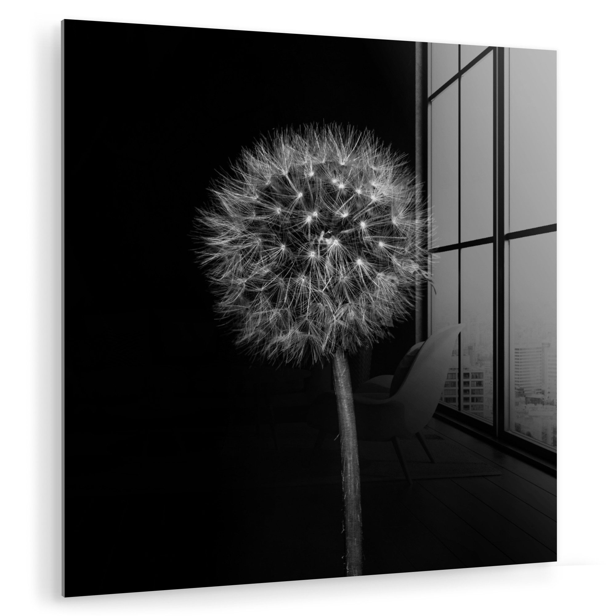MuchoWow Acrylglasbild Löwenzahn - Schwarz - günstig online kaufen
