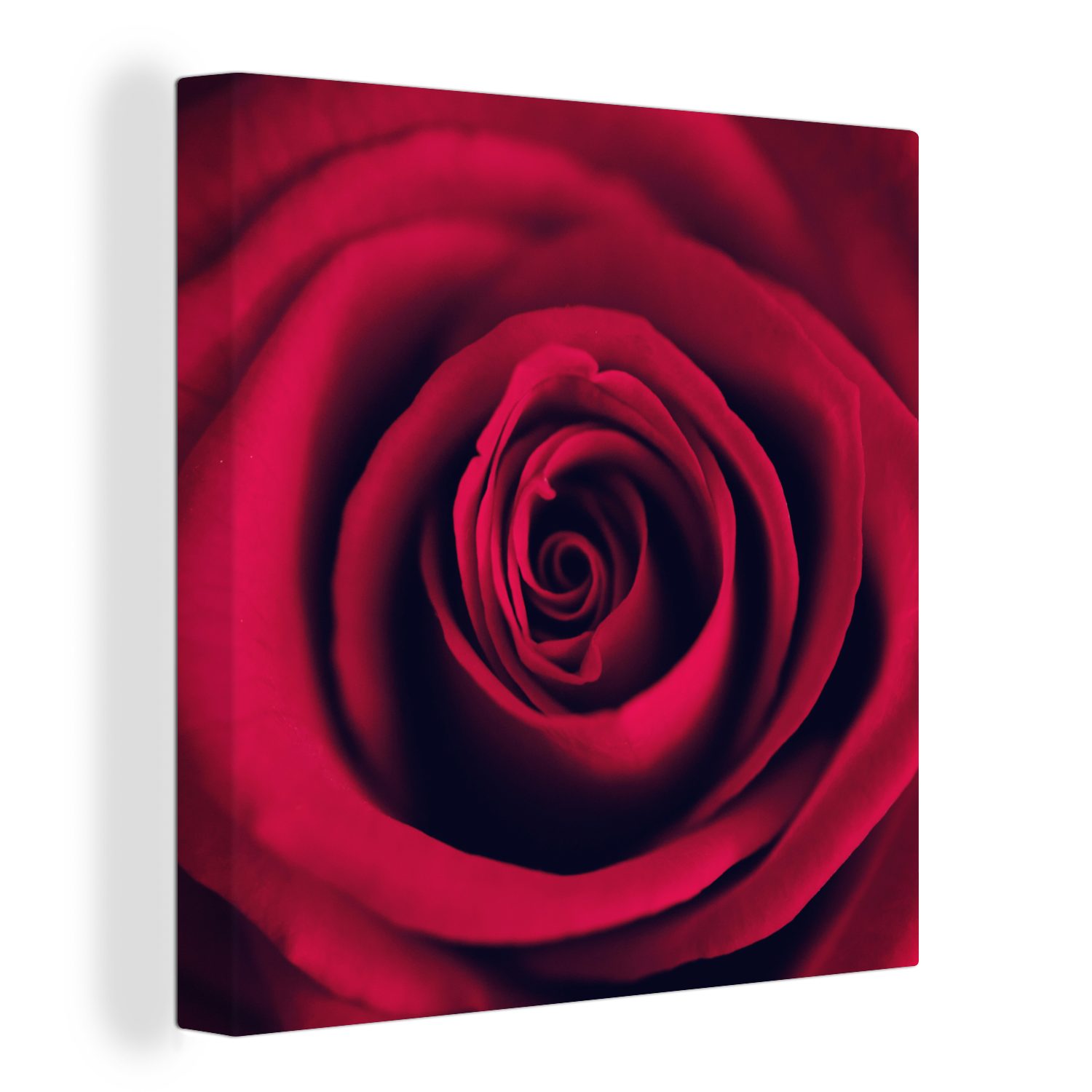 OneMillionCanvasses® Leinwandbild Rosen - Rot - Blumen, Fotodruck (1 St), Wandbild, Deko Schlafzimmer Wohnzimmer Flur 20x20 cm
