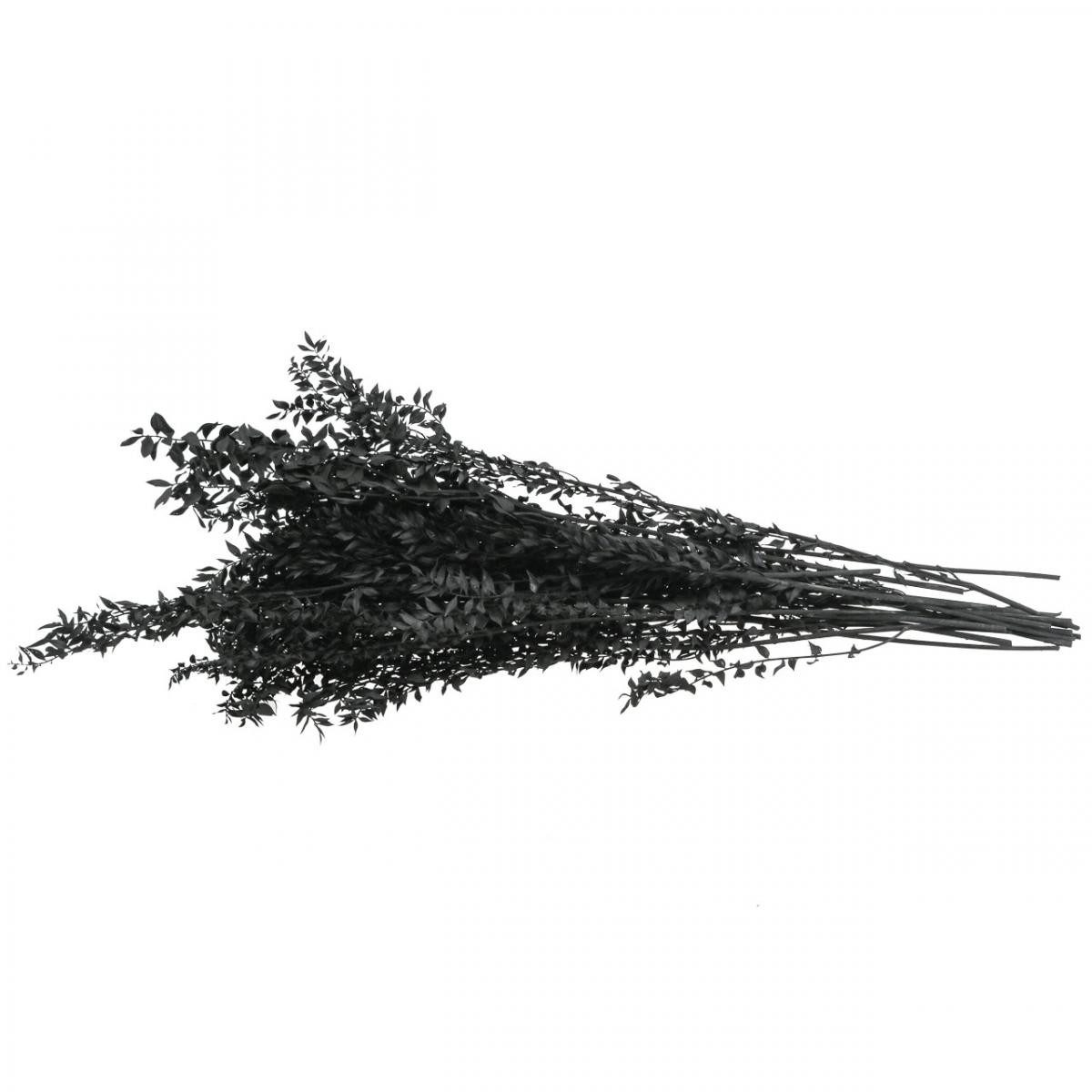 Trockenblume Ruscus Dekozweige Trockenstrauß für stilvolle Arrangements, Florists Products, Höhe 1 cm