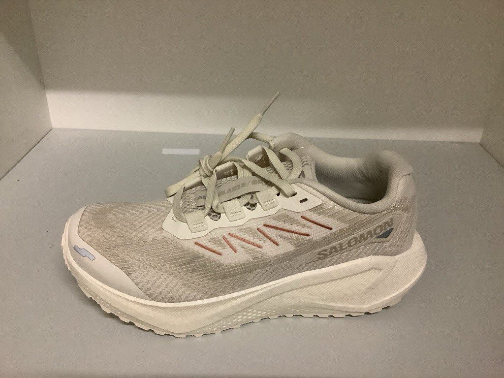 Salomon AERO BLAZE 3 GRVL W Wanderschuh