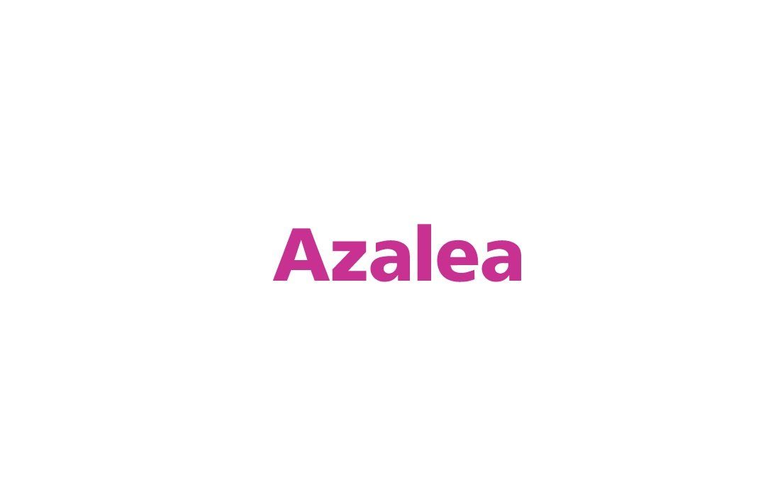 Azalea