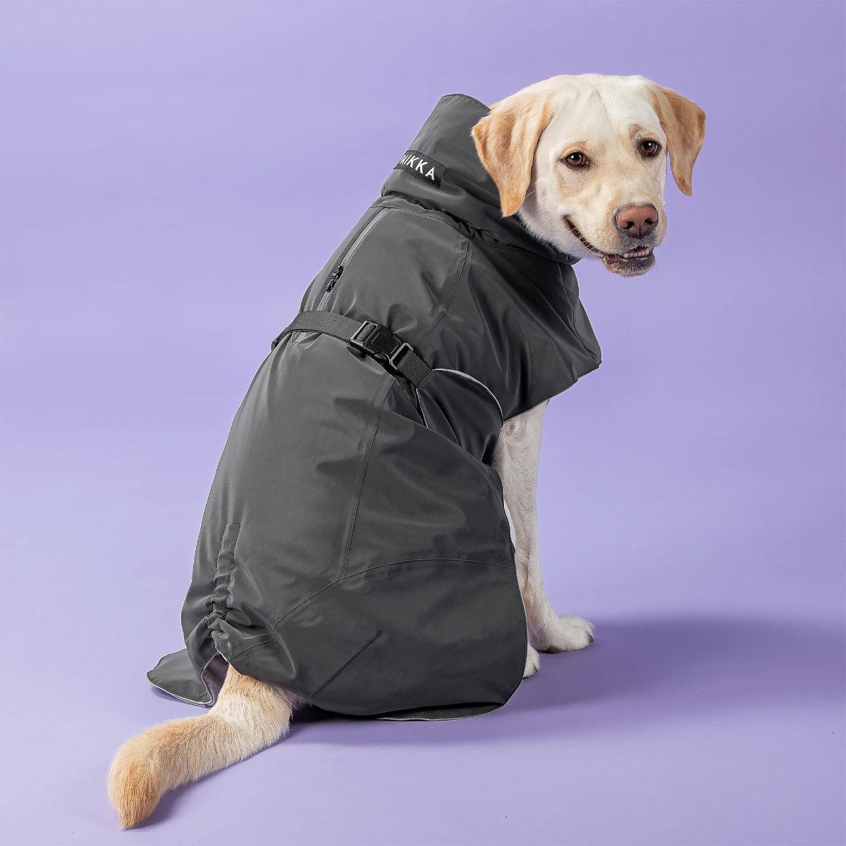 PAIKKA Hundemantel Hunde Winter-Jacke reflektierend "Visibility" grau/dark