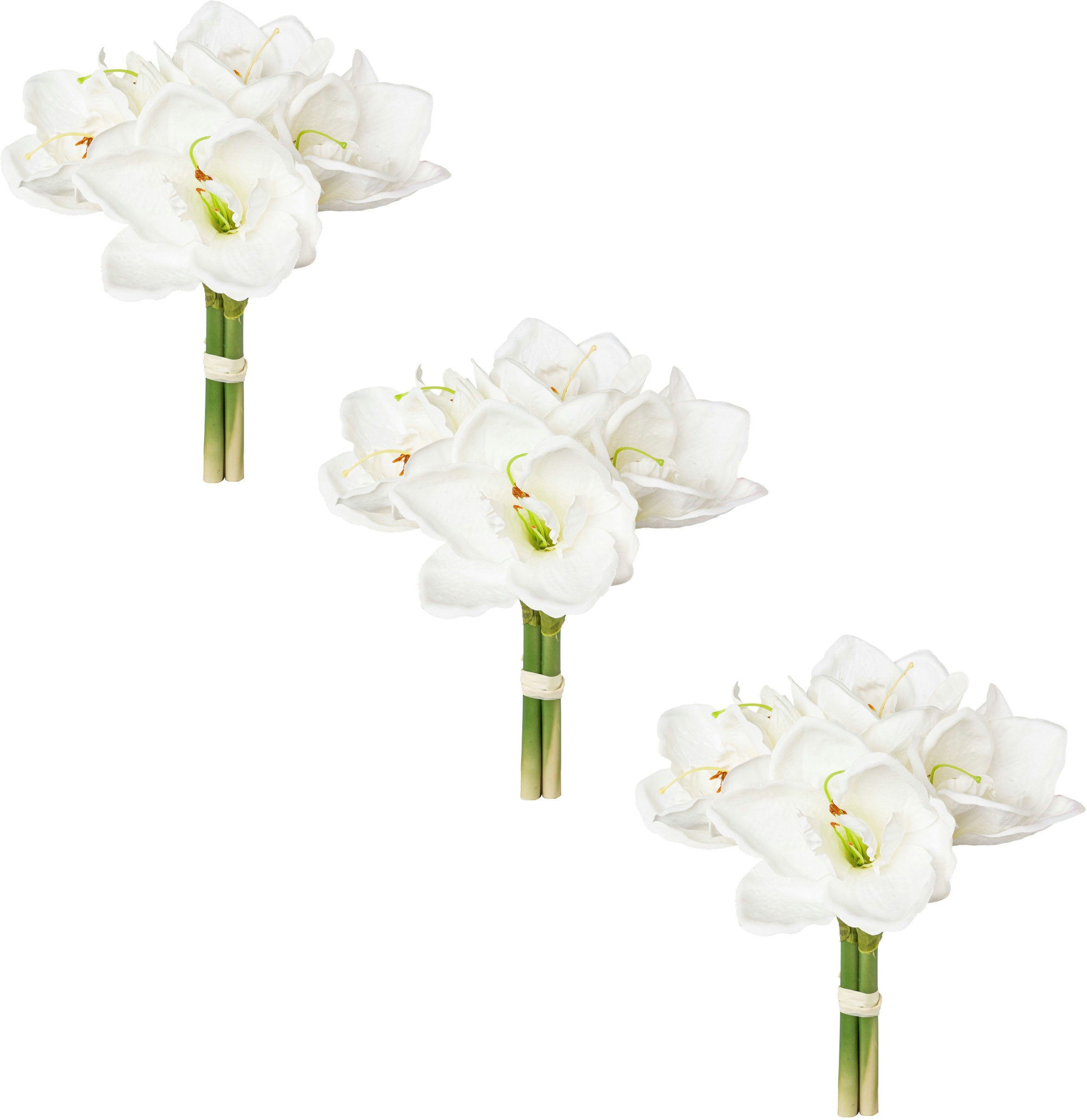 Winterliche Kunstpflanze Weihnachtsdeko Amaryllis, Creativ green, günstig online kaufen