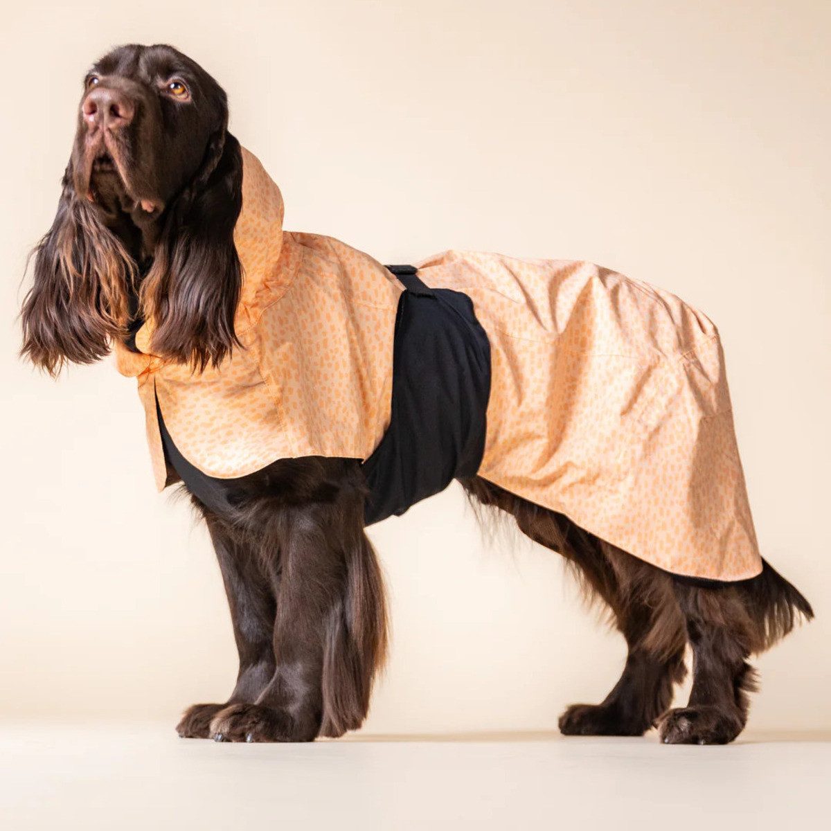 PAIKKA Hunderegenmantel Hunde Regenmantel "Raincoat" 2.0 pfirsich