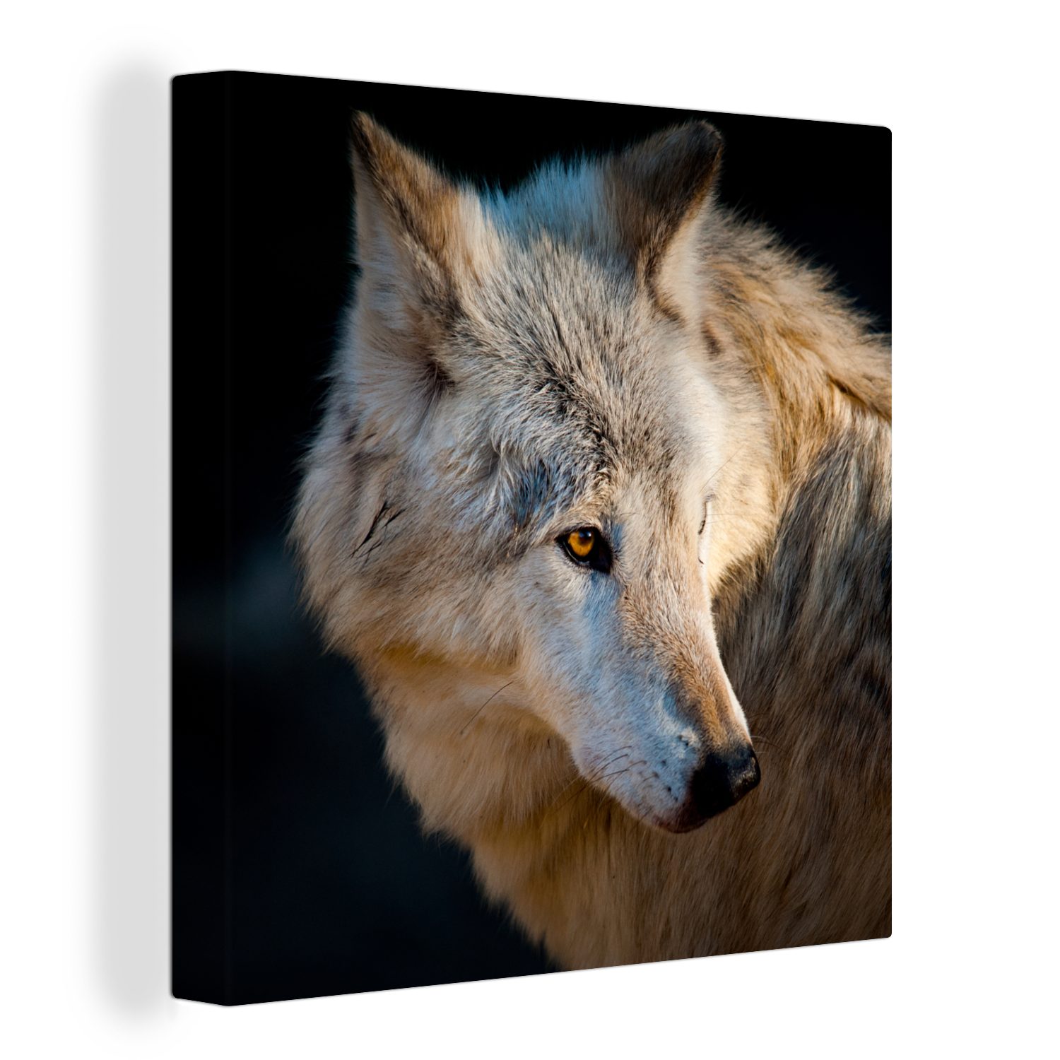 OneMillionCanvasses® Leinwandbild Leichter Polarwolf, (1 St), Leinwand Bilder für Wohnzimmer Schlafzimmer