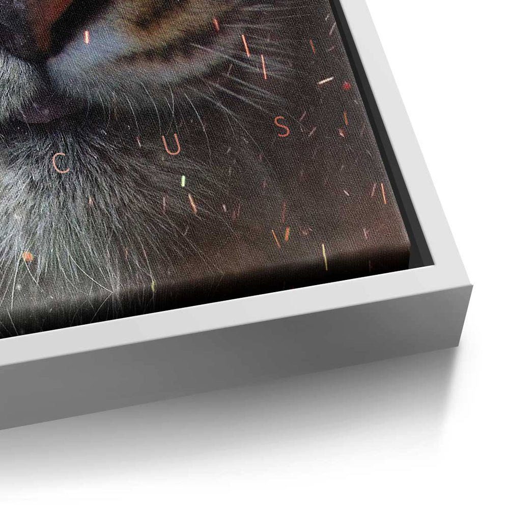 DOTCOMCANVAS® Leinwandbild, Leinwandbild Focus Face premium Tiger Rahmen mit ohne Rahmen