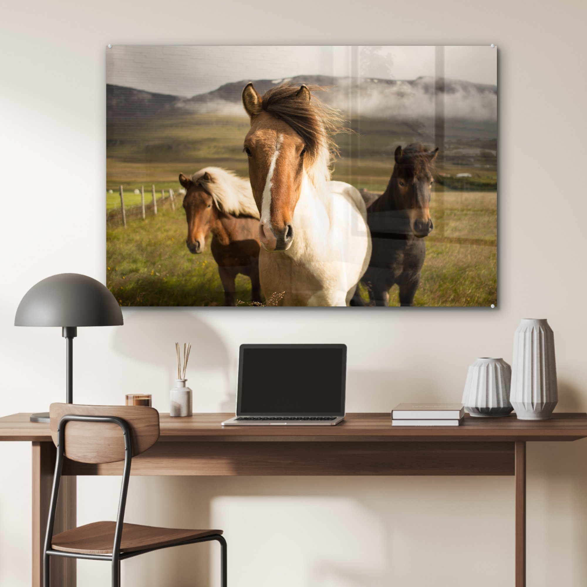 Tiere St), - & Wohnzimmer Schlafzimmer Gras, (1 - MuchoWow Pferde Acrylglasbild Acrylglasbilder