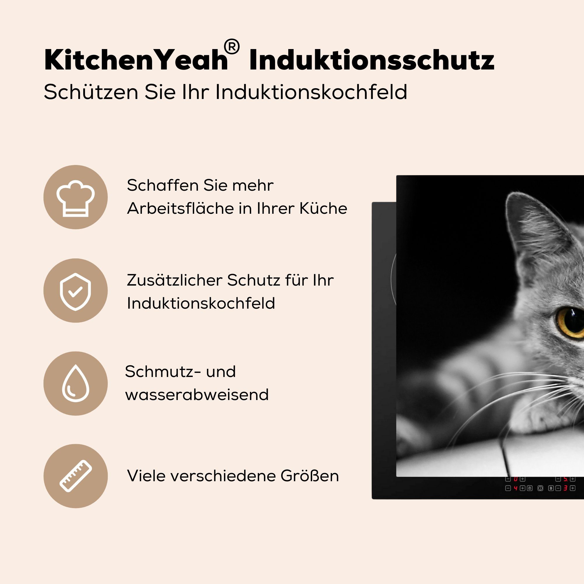 Induktionsmatte - cm, Herdblende-/Abdeckplatte 59x52 für Vinyl, tlg), Ceranfeldabdeckung (1 Makro, - Tier MuchoWow Katze küche, die
