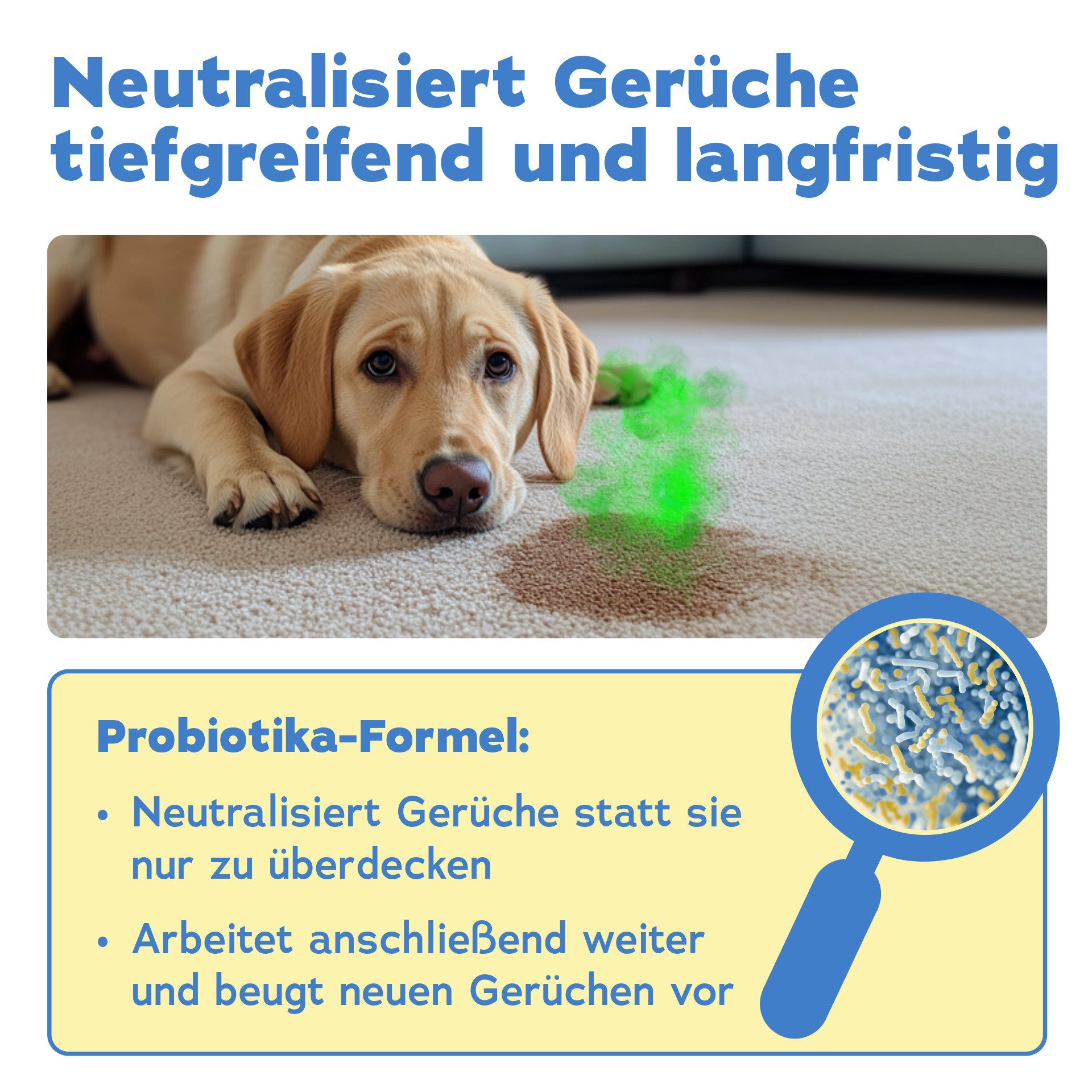 bio-chem Geruchsentferner Enzymreiniger 750 ML für Hunde- & Tiergerüche (1x Geruchsentferner Hund 0.75 l Handsprayflasche)