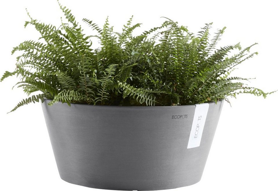 ECOPOTS Blumentopf FRANKFURT Grey, BxTxH: 41x41x18 cm