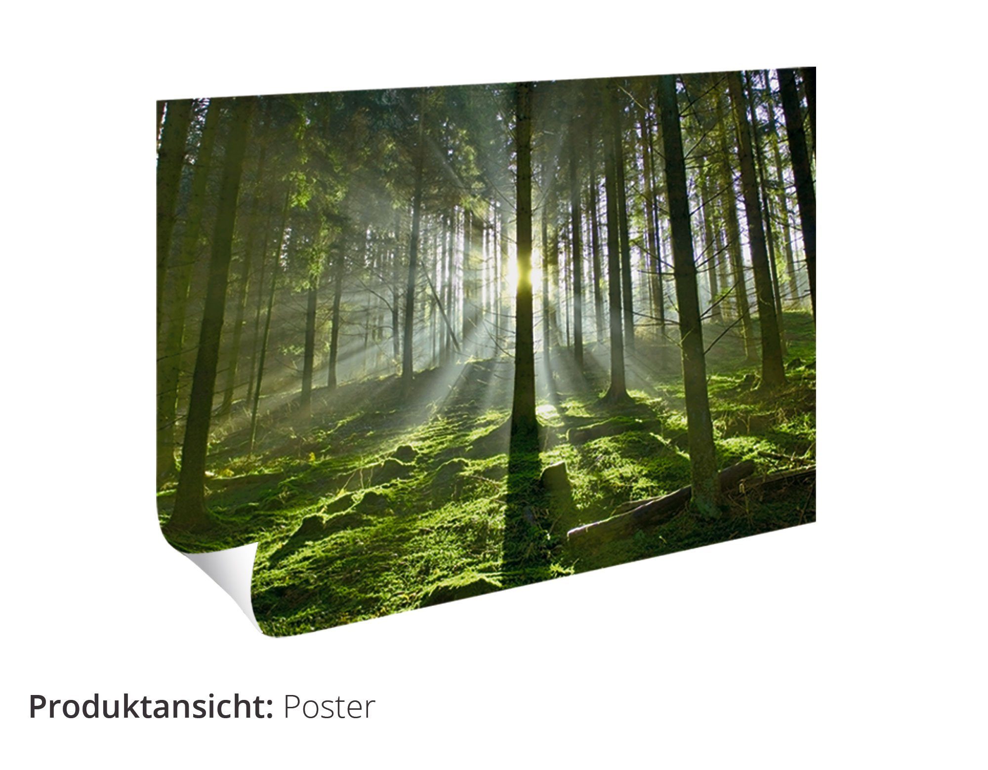 Buntspecht (1 Artland Wald, St), versch. Wandbild im Vögel in Leinwandbild, oder Wandaufkleber als Größen Poster