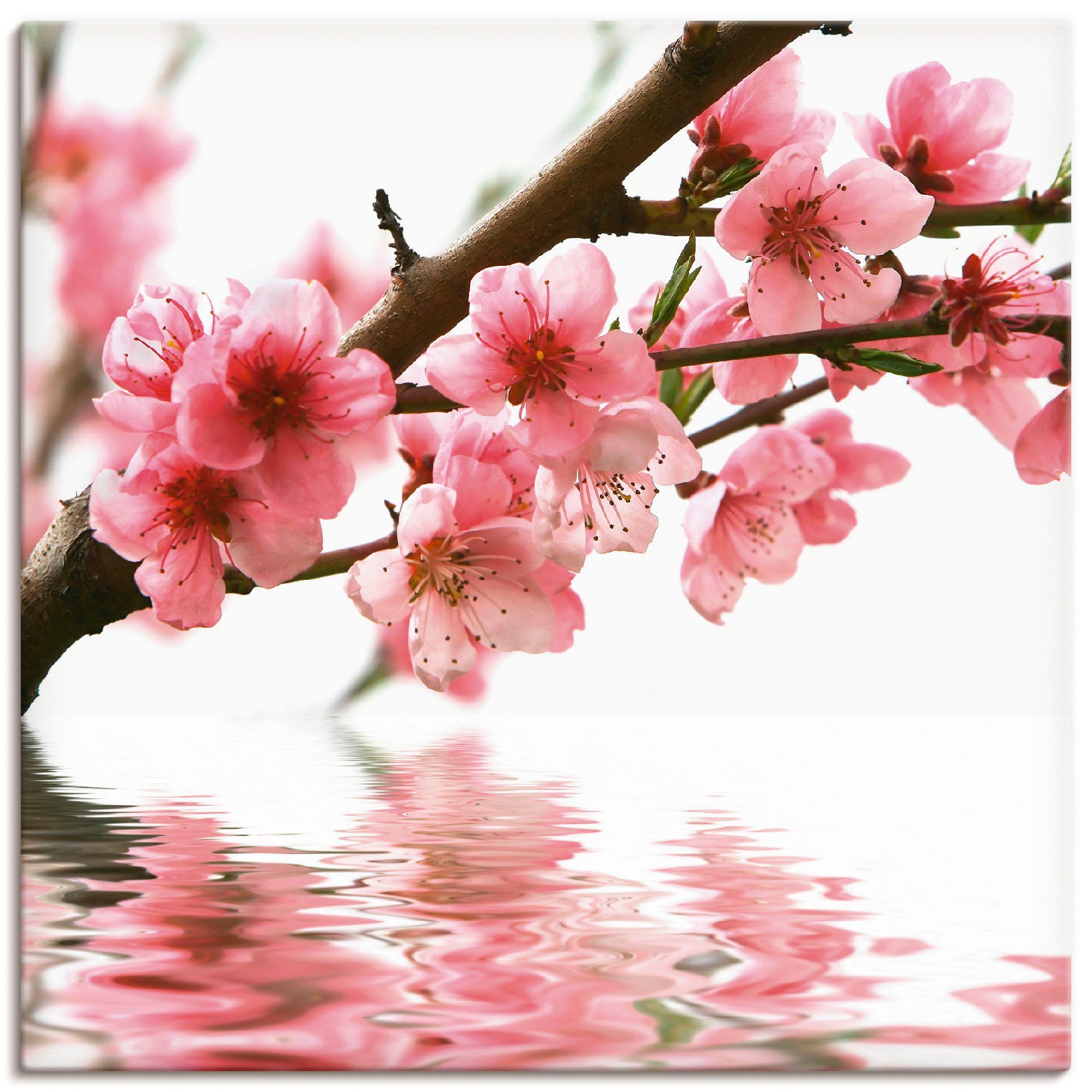 Artland Wandbild Pfirsichblüten im oder reflektieren in als Poster Leinwandbild, Wandaufkleber Größen Blumen Alubild, versch. Wasser, St), (1