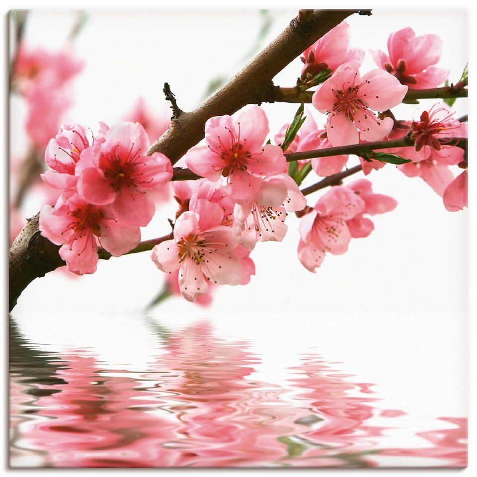 Artland Wandbild Pfirsichblüten reflektieren im Wasser, Blumen (1 St), als  Alubild, Leinwandbild, Wandaufkleber oder Poster in versch. Größen