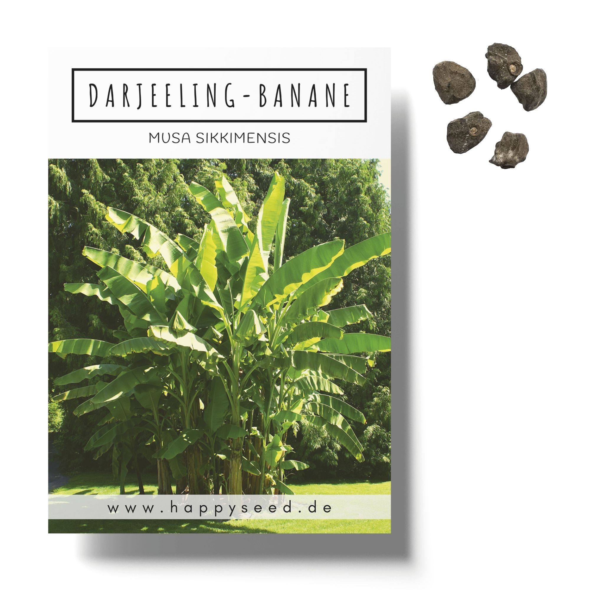 HappySeed Blumensamen Darjeeling Bananen Samen (Musa sikkimensis) - Winterh günstig online kaufen