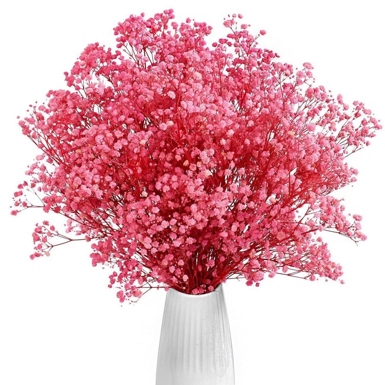 Trockenblume Trockenblumen Gypsophila Rosa 3000+ Blüten, LuxusKollektion, Höhe 20 cm