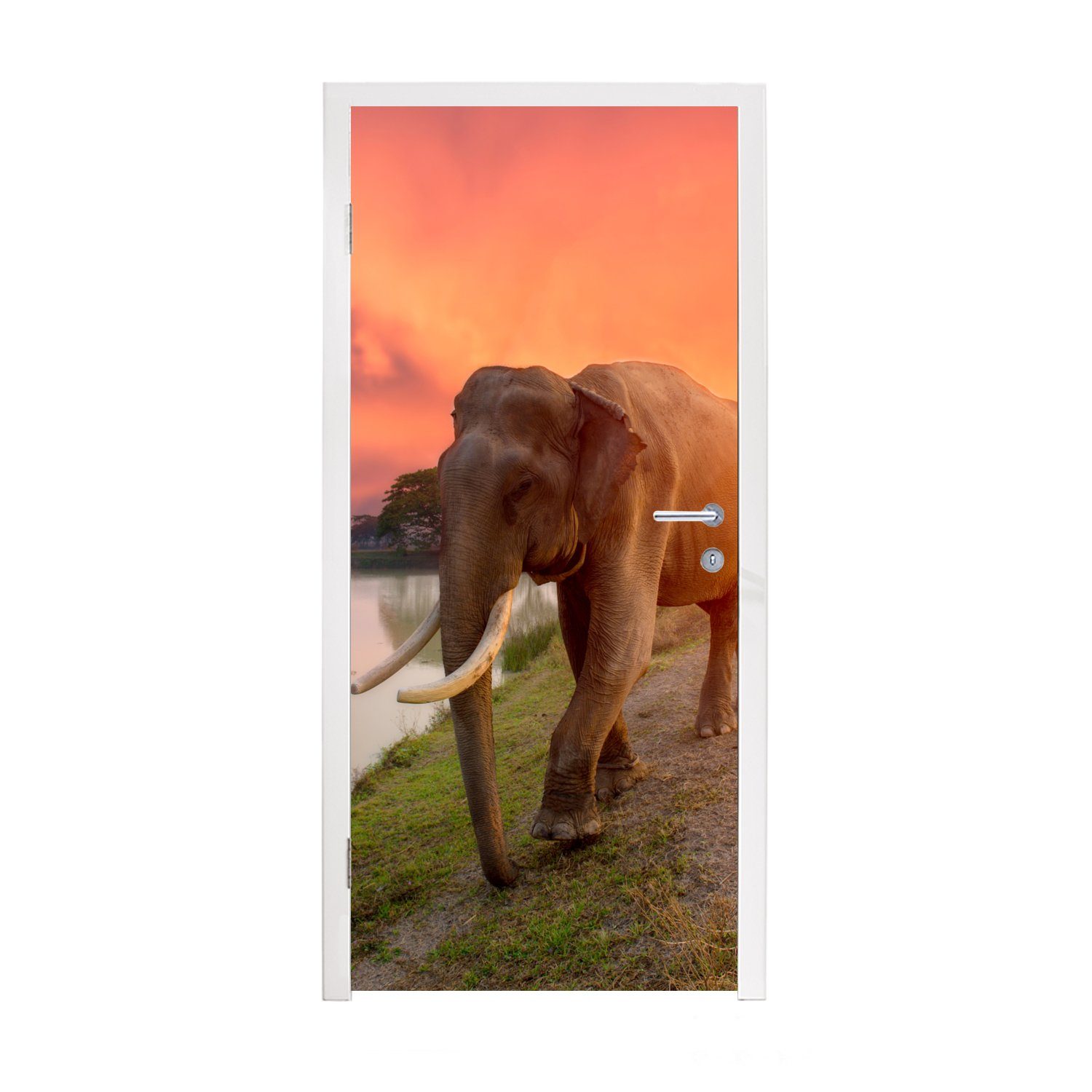 MuchoWow Türtapete Elefant - Wasser - Tiere - Sonnenuntergang - Natur, Matt, bedruckt, (1 St), Fototapete für Tür, Türaufkleber, 75x205 cm | Türtapeten
