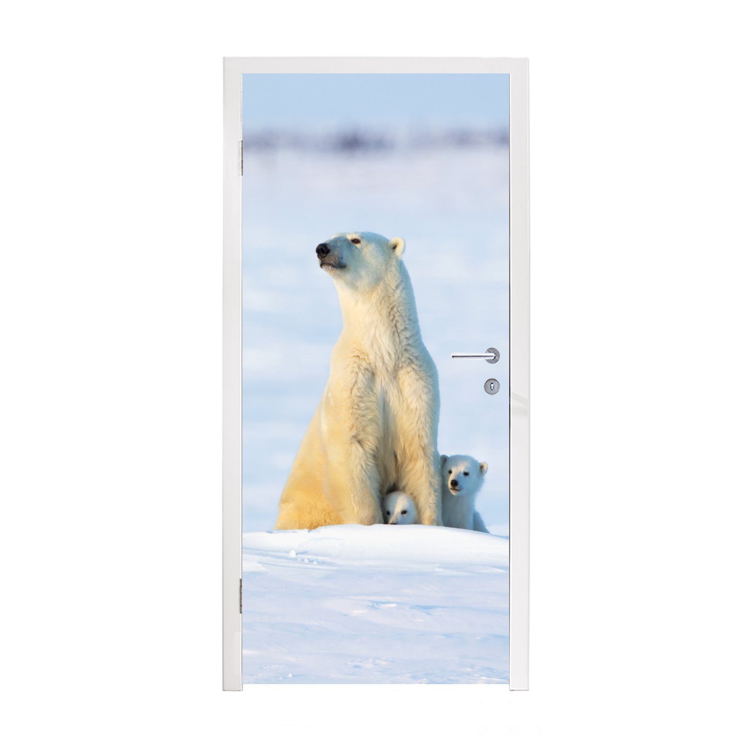 MuchoWow Türtapete Eisbär - Schnee - Jungtiere, Matt, bedruckt, (1 St), Fototapete für Tür, Türaufkleber, 75x205 cm