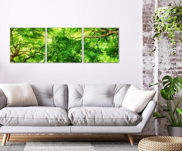 artissimo Glasbild mehrteiliges Glasbild 150x50cm Bild aus Glas 3-Teiler Wald Bäume grün