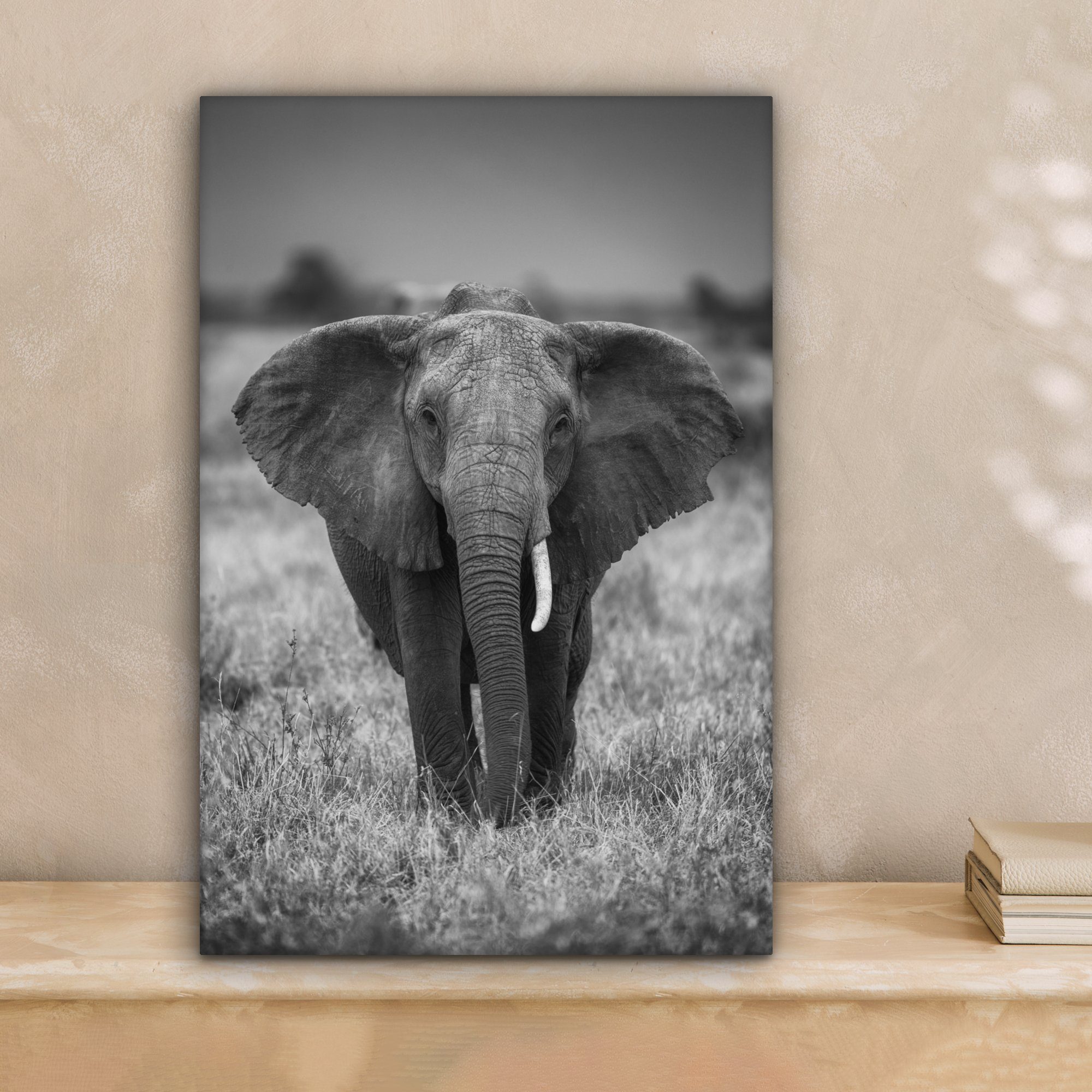 OneMillionCanvasses® Leinwandbild Elefant - Tiere - günstig online kaufen