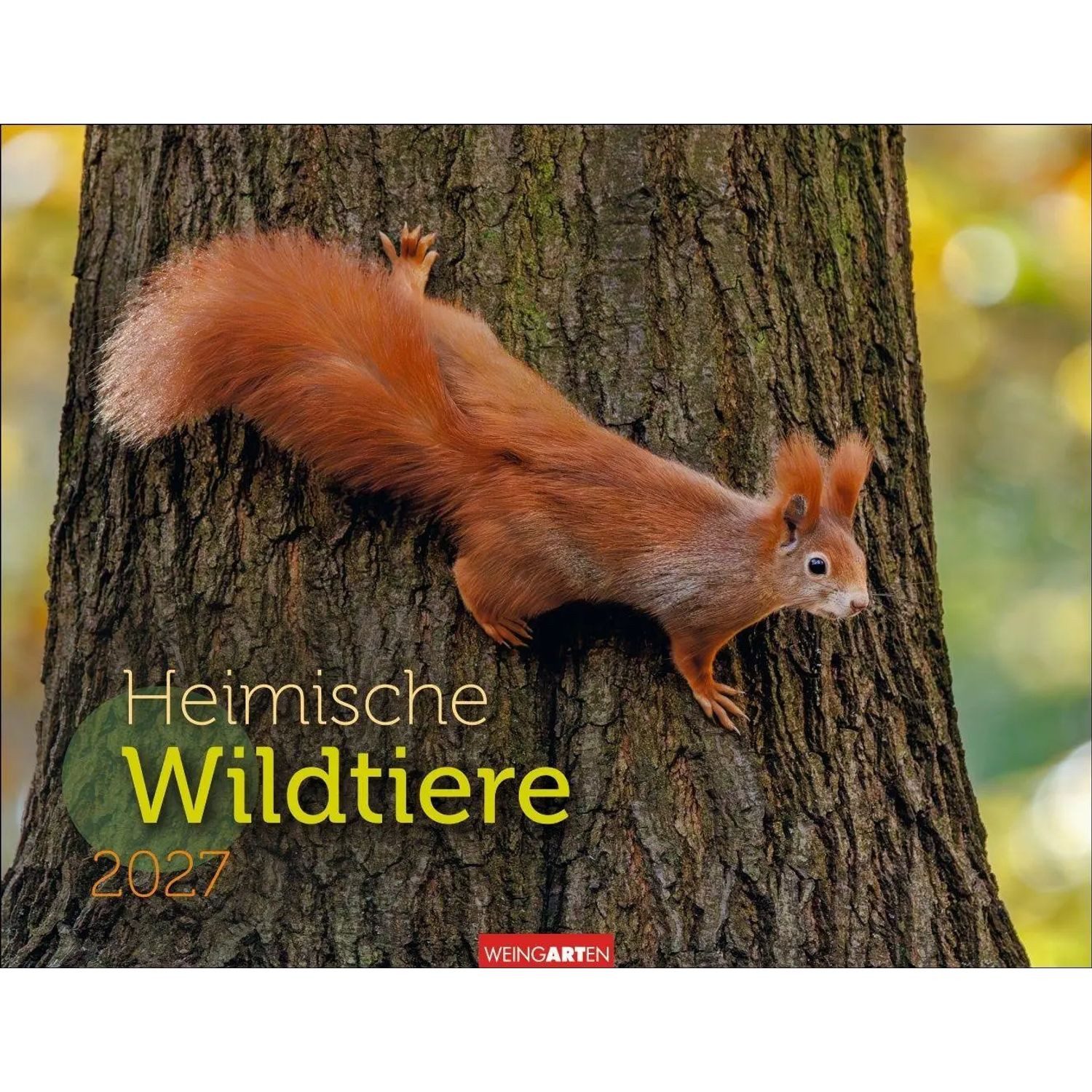 Wandkalender Heimische Wildtiere Kalender 2027
