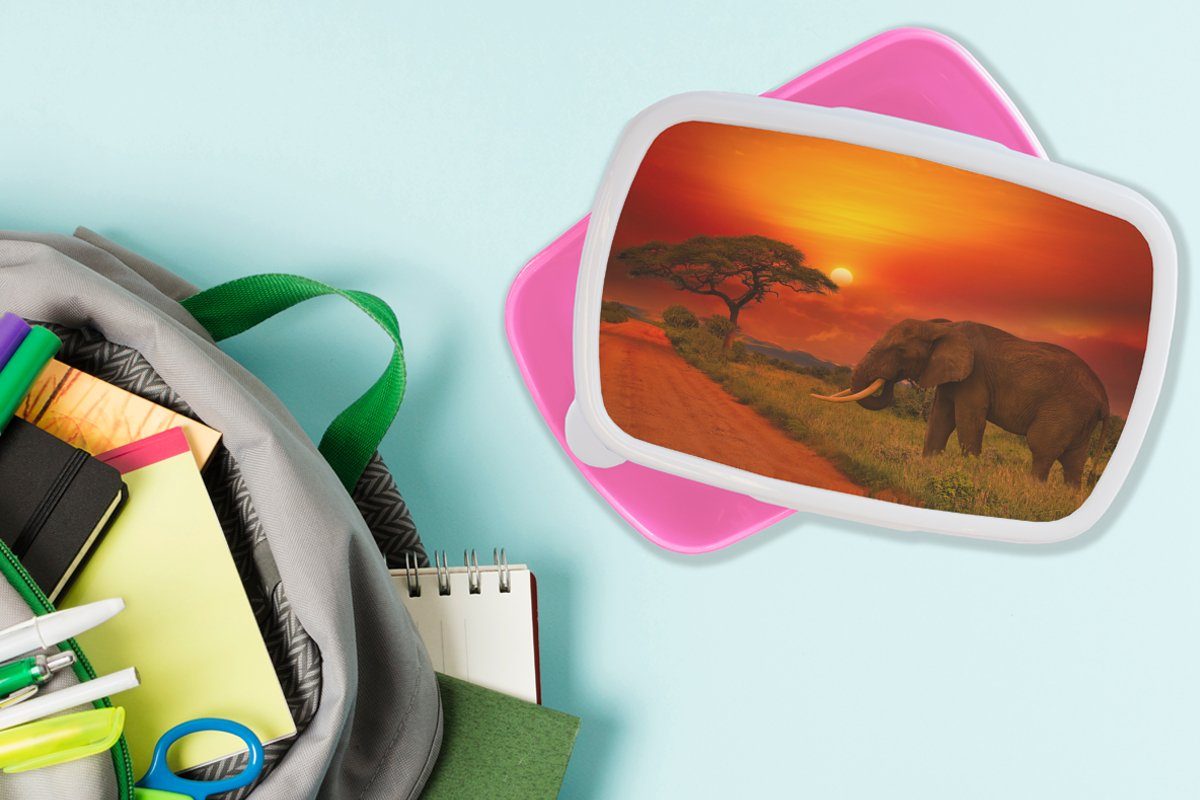 Orange rosa Brotdose Savanne Lunchbox Kunststoff, - für Sonnenuntergang - Erwachsene, Elefant Kunststoff Tiere, Snackbox, MuchoWow - - Kinder, Mädchen, (2-tlg), Brotbox