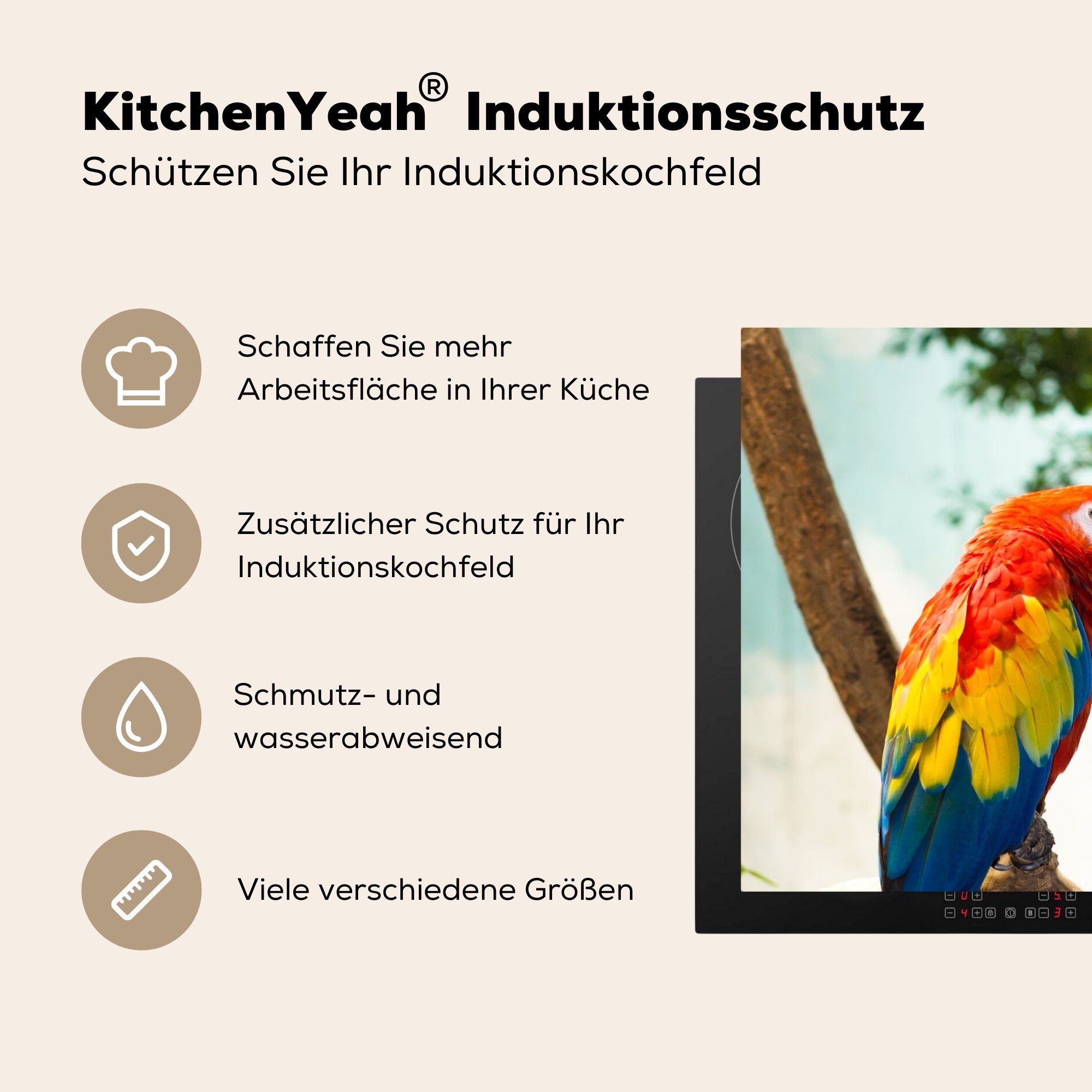 MuchoWow Herdblende-/Abdeckplatte Papagei (1 Ceranfeldabdeckung, Vinyl, - tlg), für Regenbogen cm, 81x52 - Tropisch, Arbeitsplatte - küche Vogel
