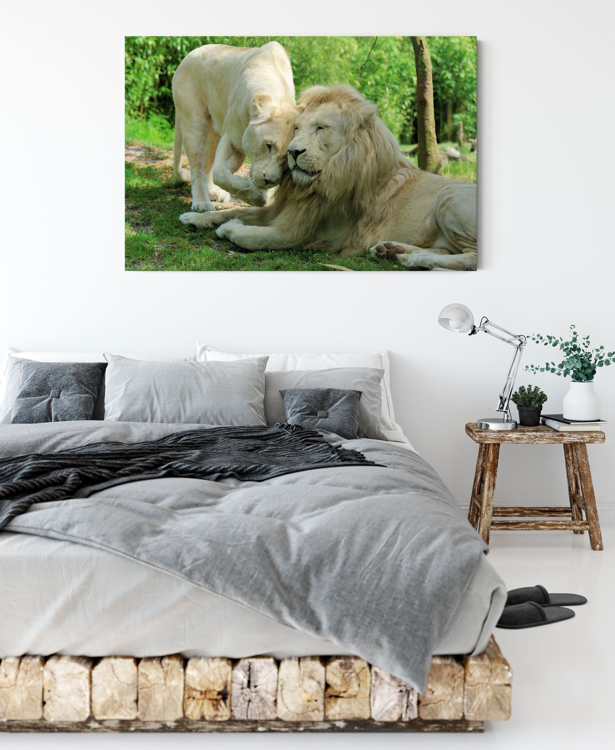 Pixxprint Leinwandbild verliebtes Löwenpaar, verliebtes (1 St), Leinwandbild inkl. bespannt, Löwenpaar fertig Zackenaufhänger