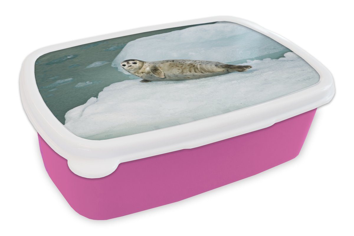 MuchoWow Lunchbox Robbe - Meer - Eis, Kunststoff, (2-tlg), Brotbox für Erwachsene, Brotdose Kinder, Snackbox, Mädchen, Kunststoff rosa