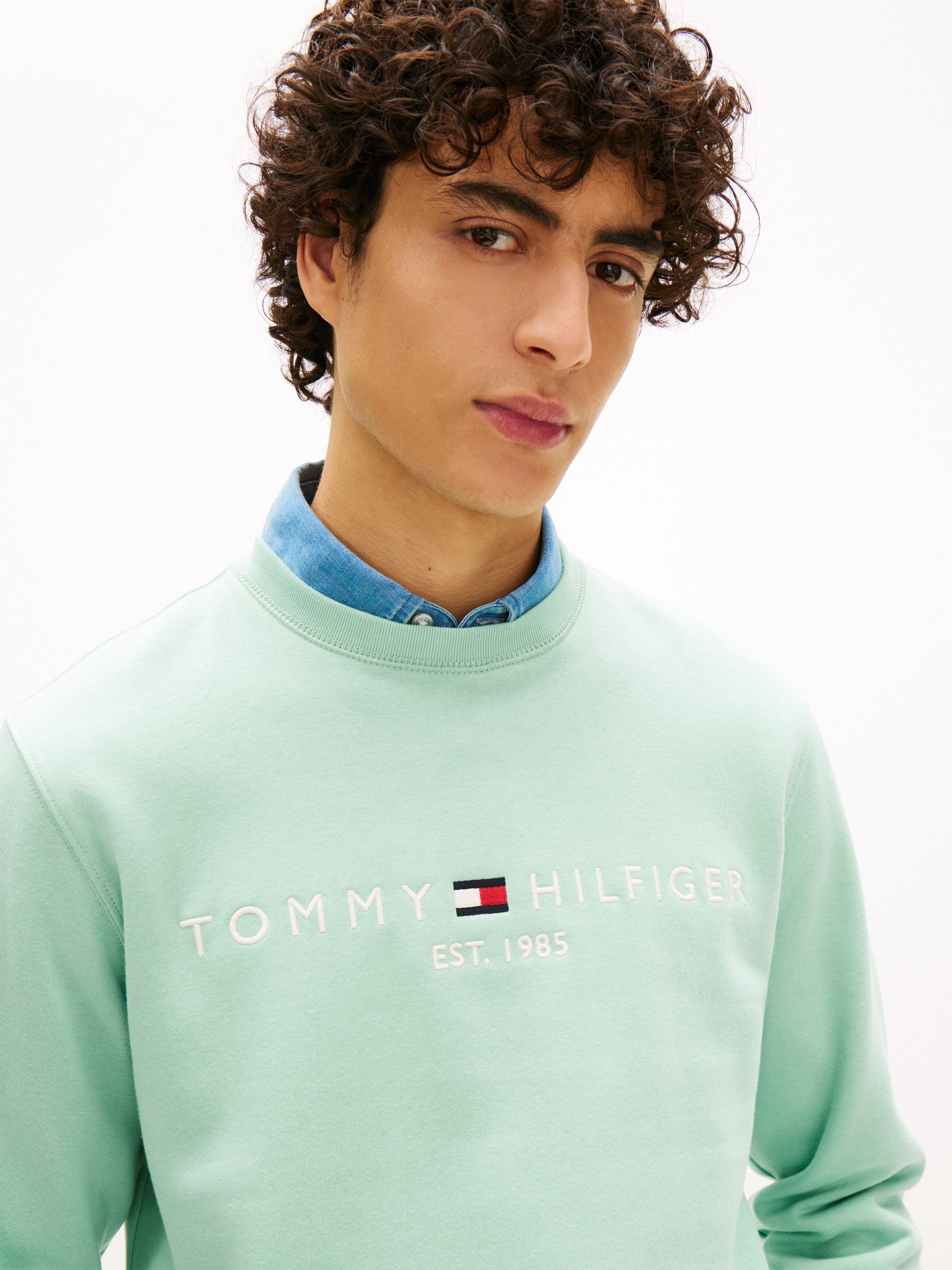 Tommy Hilfiger Sweatshirt TOMMY LOGO unifarben, casual, regular fit, Baumwo günstig online kaufen