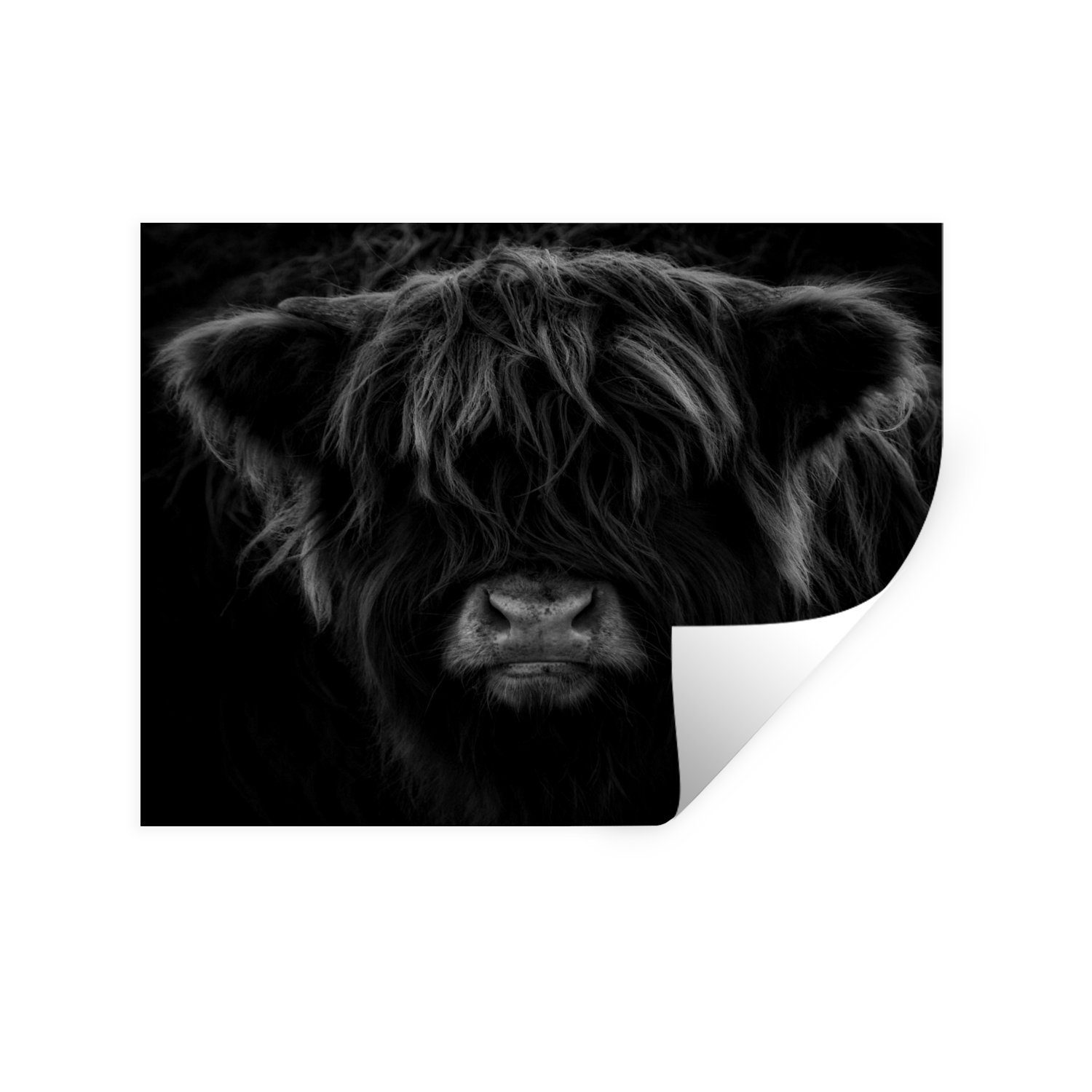 MuchoWow Wandsticker Schottischer Highlander - Kuh - Porträt - Tiere - Schwarz - Weiß (1 St), Wandaufkleber, Wandtattoo, Selbstklebend, Wohnzimmer, Schlafzimmer