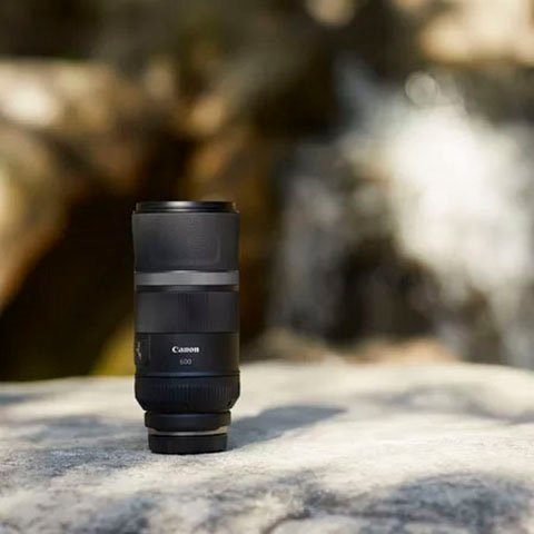 Canon RF 600mm F11 IS STM Objektiv, (Passend für Canon EOS R System Kameras (z.B. EOS RP, R8)