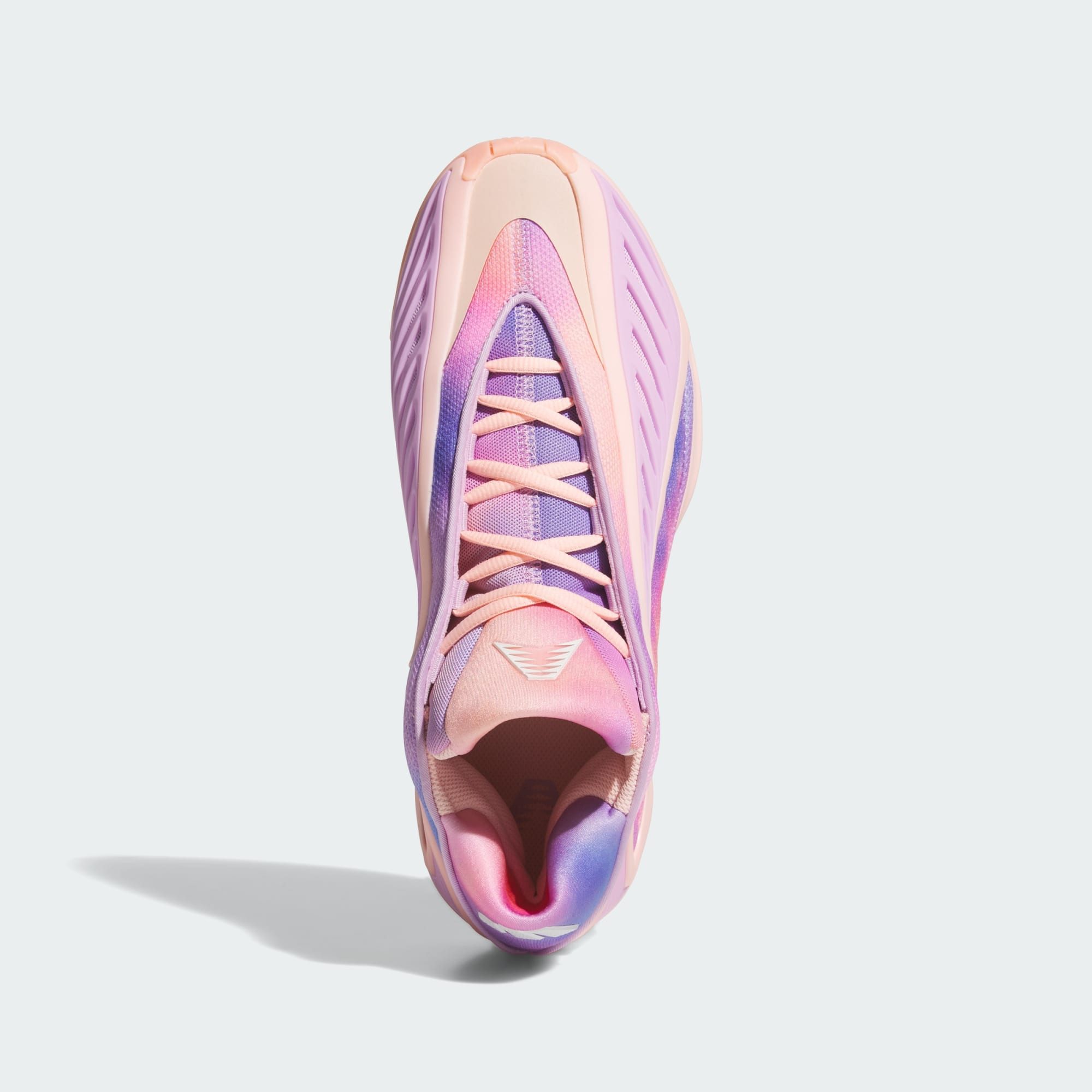 adidas Performance ANTHONY EDWARDS 2 SCHUH Basketballschuh (2-tlg)