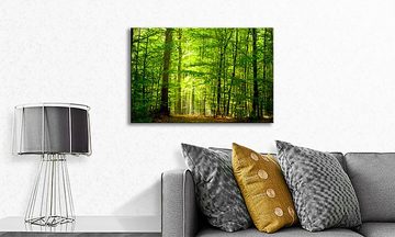 WandbilderXXL Leinwandbild Into the Forest, Wald (1 St), Wandbild,in 6 Größen erhältlich