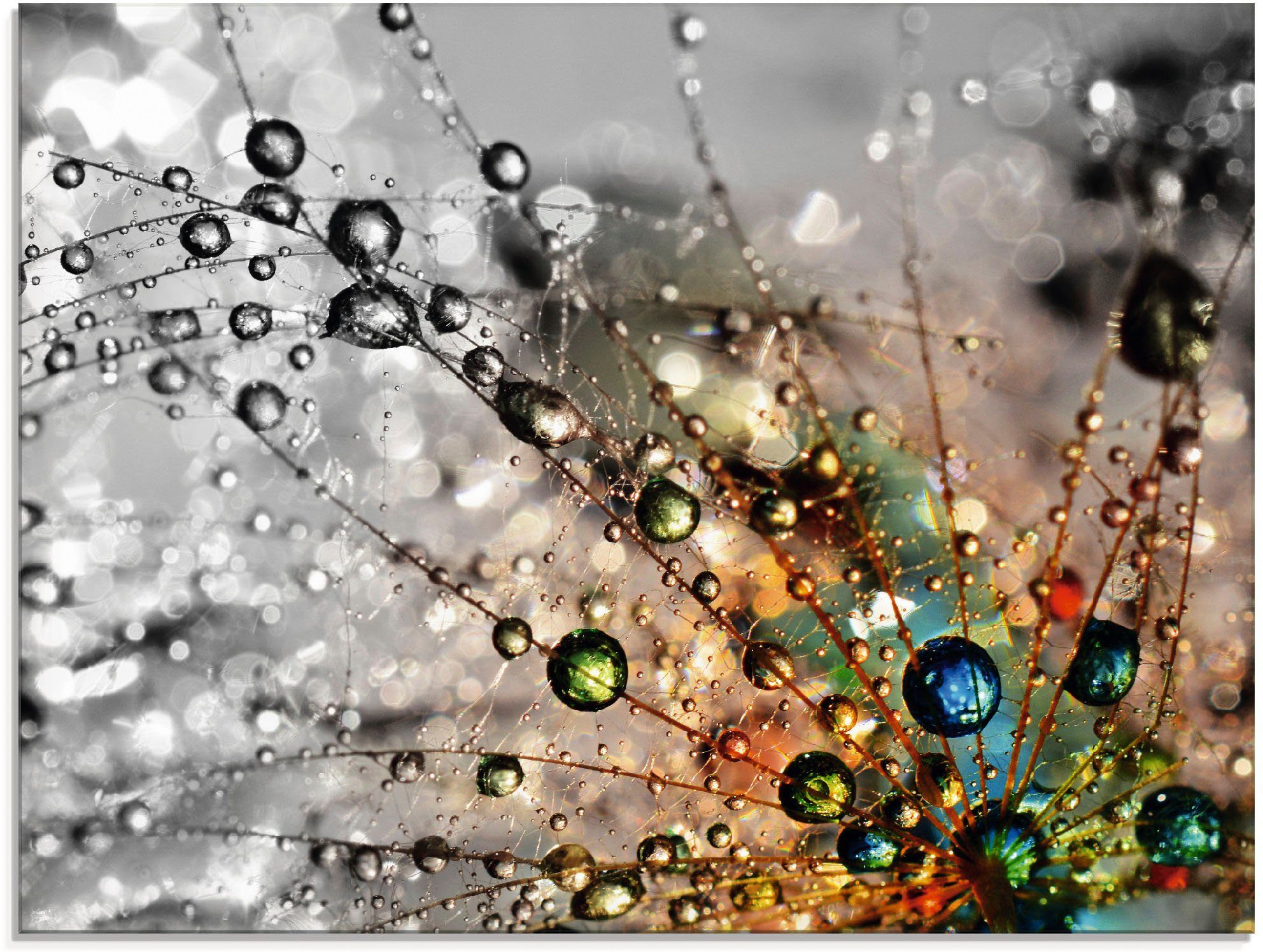 Artland Glasbild Farbenfrohe Natur, Blumen (1 günstig online kaufen