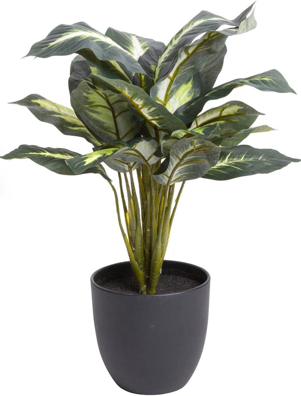 Botanic-Haus, Zimmerpflanze Dieffenbachia, Künstliche Dieffenbachia Höhe 45 cm