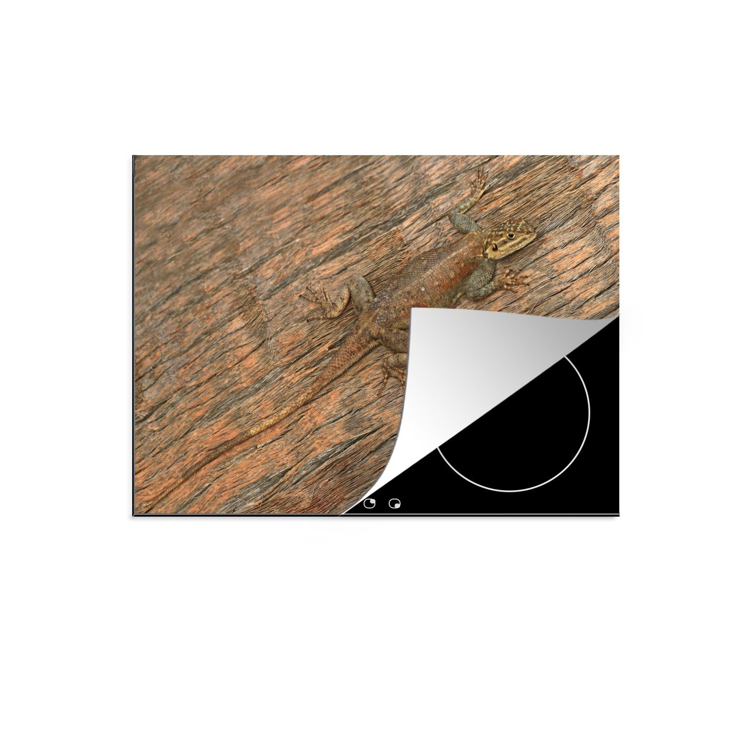 MuchoWow Herdblende-/Abdeckplatte Salamander - Camouflage - Holz, Vinyl, (1 tlg), 70x52 cm, Mobile Arbeitsfläche nutzbar, Ceranfeldabdeckung