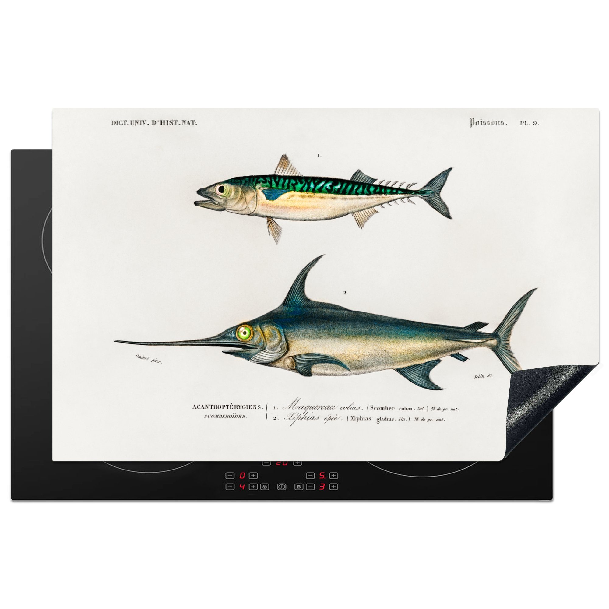 MuchoWow Herdblende-/Abdeckplatte Fisch - Vintage - Farbe, Vinyl, (1 tlg), 81x52 cm, Induktionskochfeld Schutz für die küche, Ceranfeldabdeckung