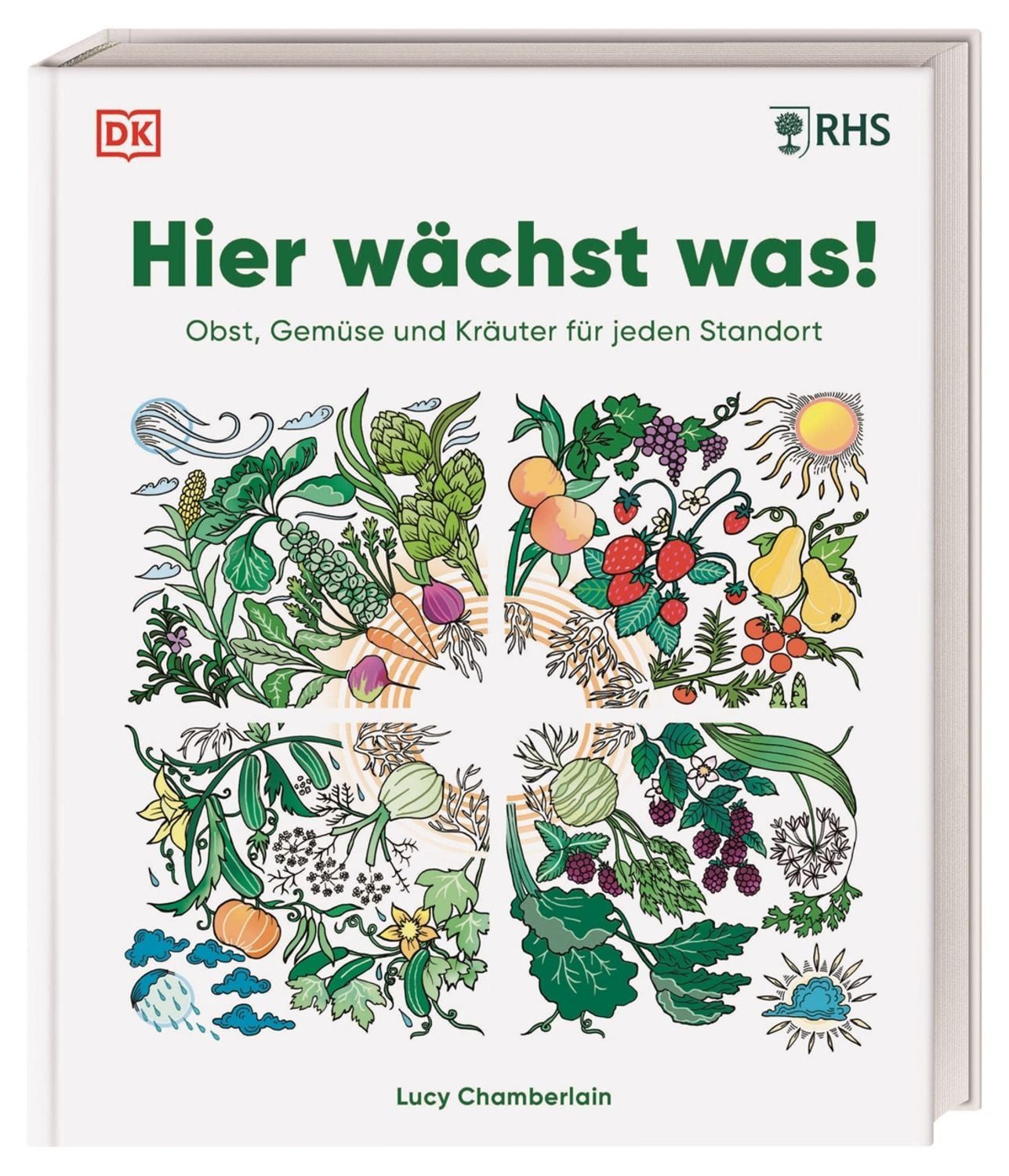 Hier wächst was! / Lucy Chamberlain
