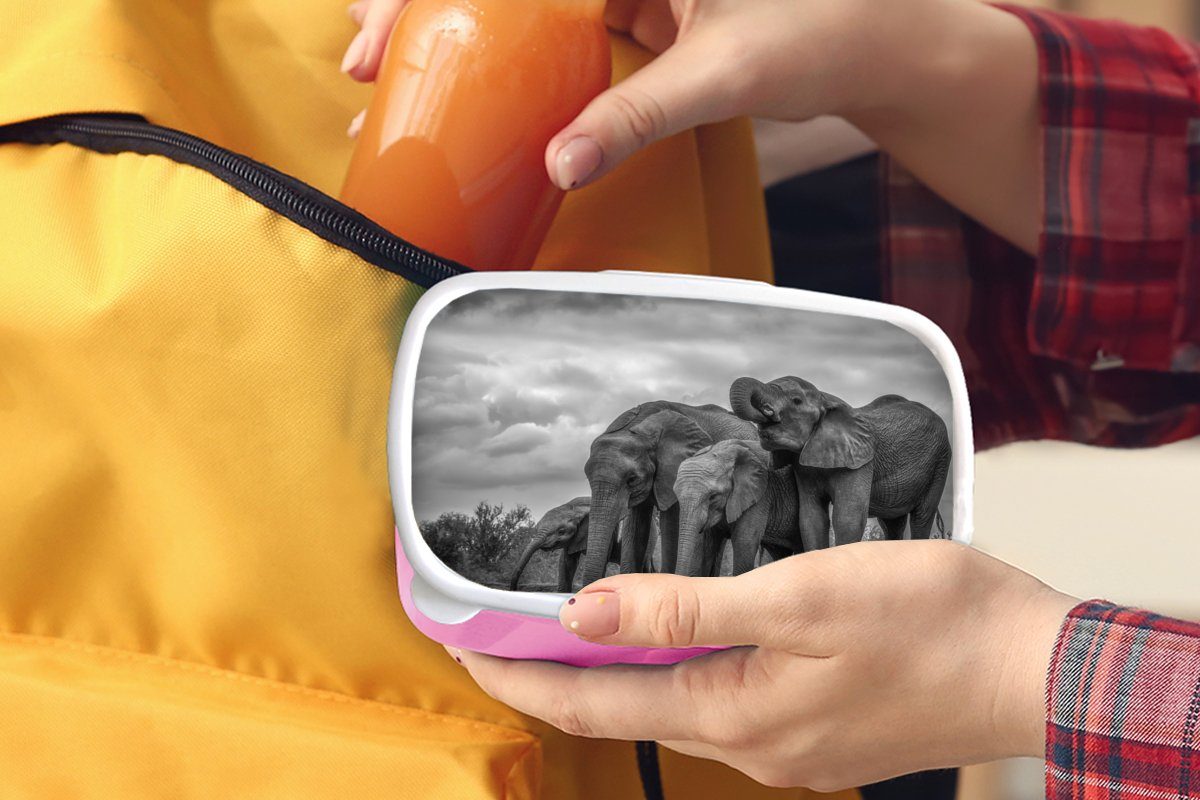 Kunststoff, Brotdose und MuchoWow (2-tlg), Brotbox Elefant - rosa Kinder, Tiere für Schwarz Mädchen, Erwachsene, weiß, Snackbox, Lunchbox - Wasser Kunststoff -