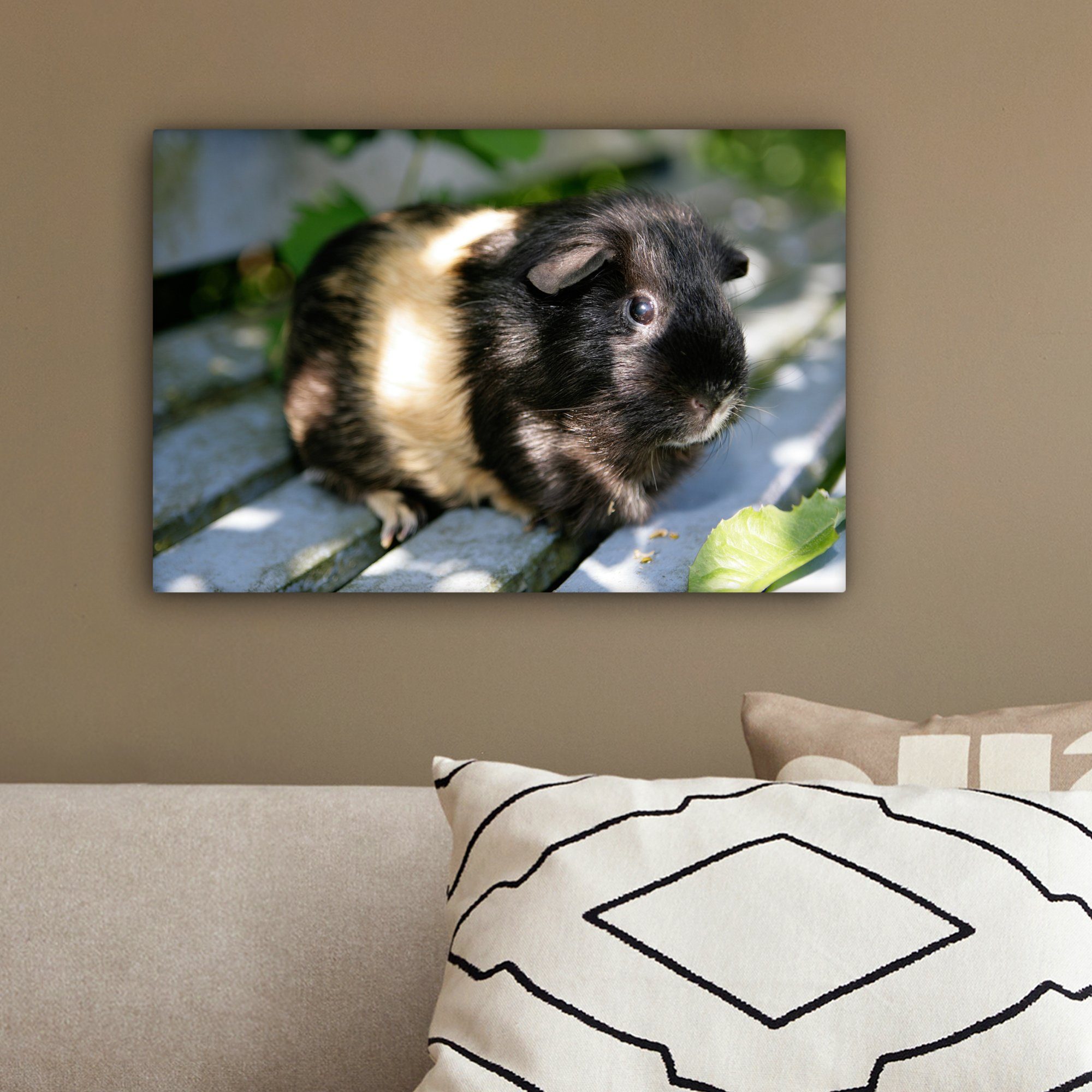 OneMillionCanvasses® Leinwandbild Meerschweinchen im Garten, Aufhängefertig, cm Wanddeko, Wandbild Leinwandbilder, 30x20 (1 St)