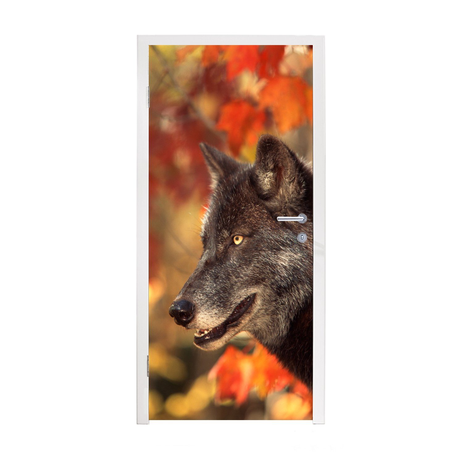 - für Nahaufnahme Fototapete bedruckt, Matt, Türtapete 75x205 Tür, Wolf Blätter, MuchoWow Türaufkleber, cm - St), (1