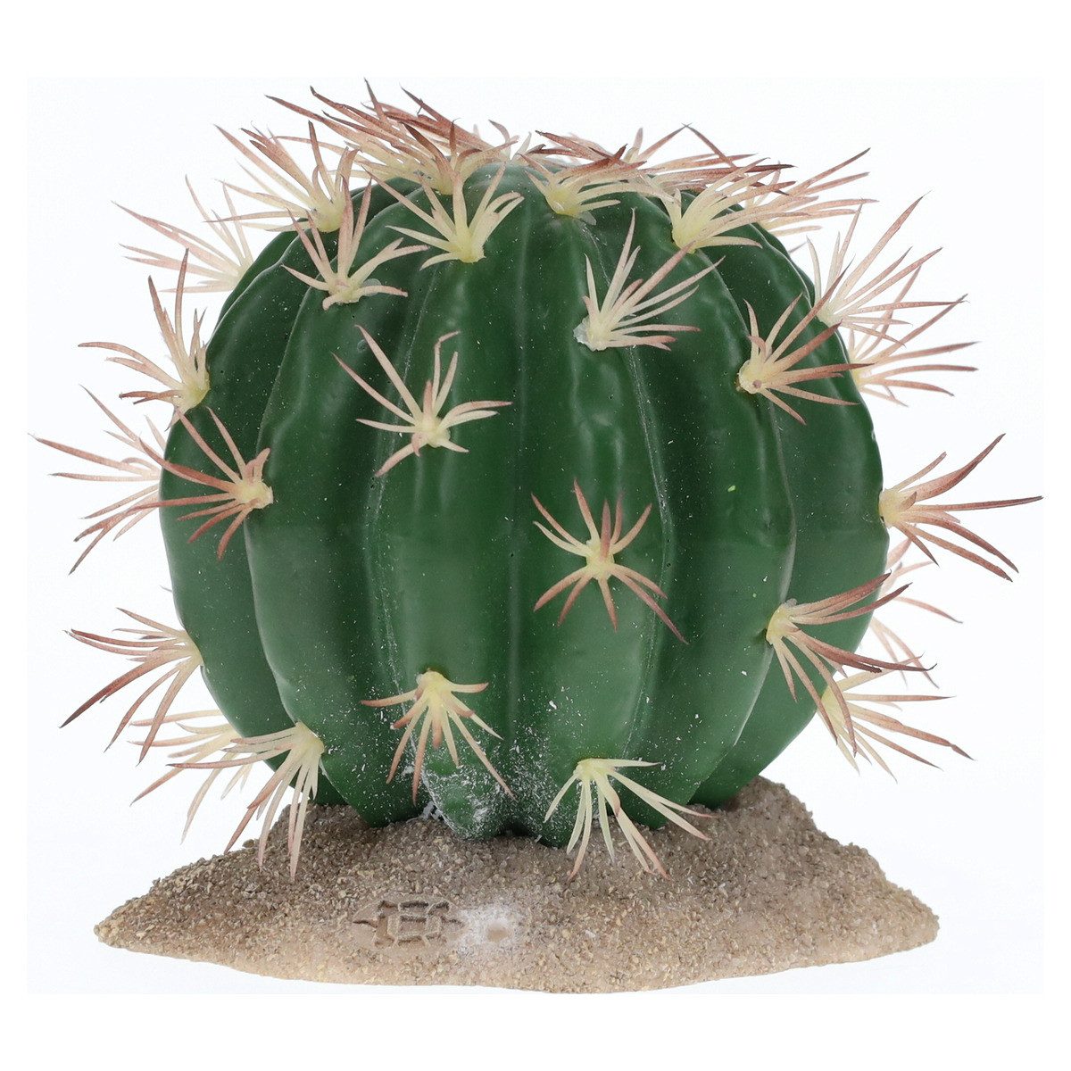 Terra Della Terrariendeko Dekoration Kaktus Echinocactus grün mit großen Stacheln