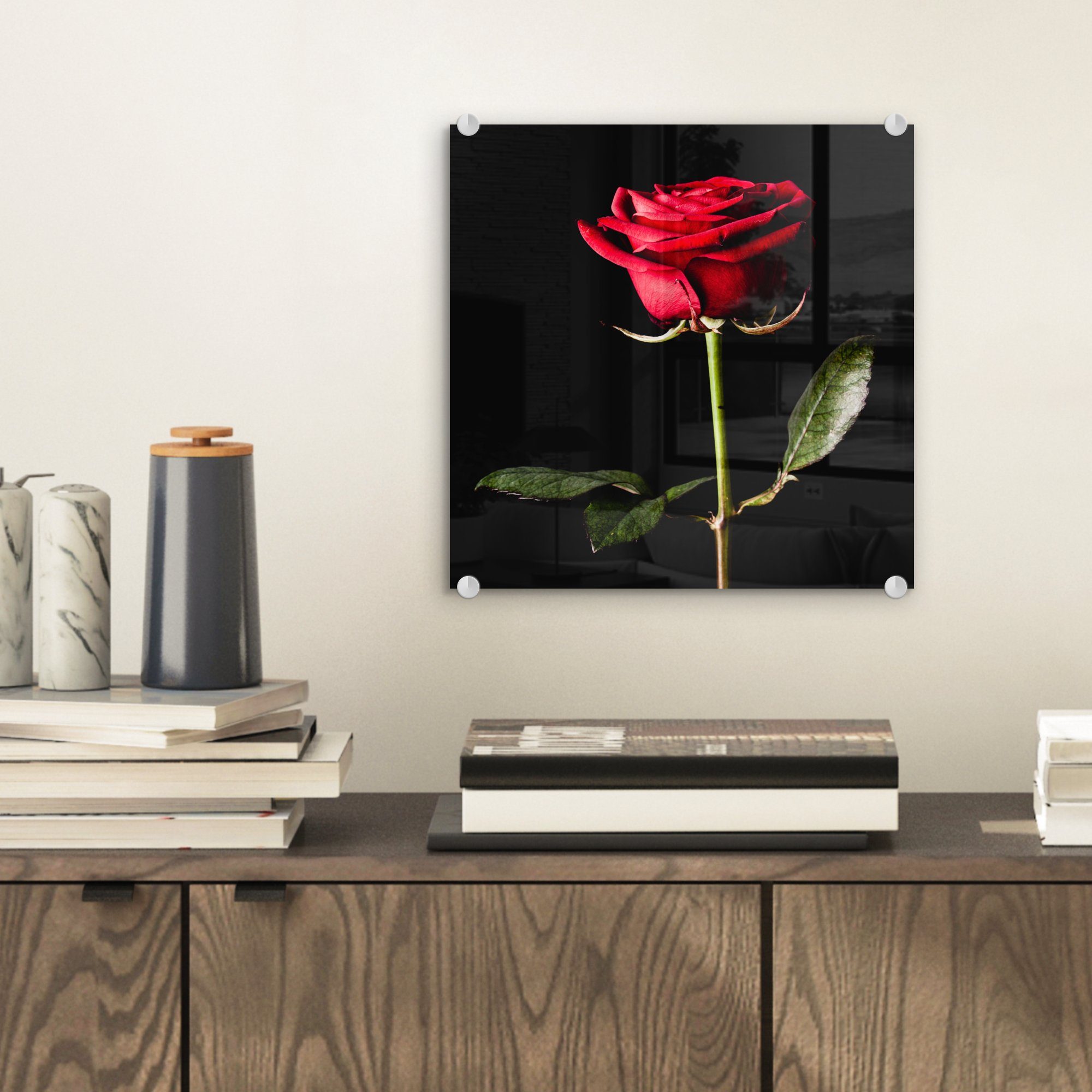 MuchoWow Acrylglasbild Eine rote Rose auf günstig online kaufen