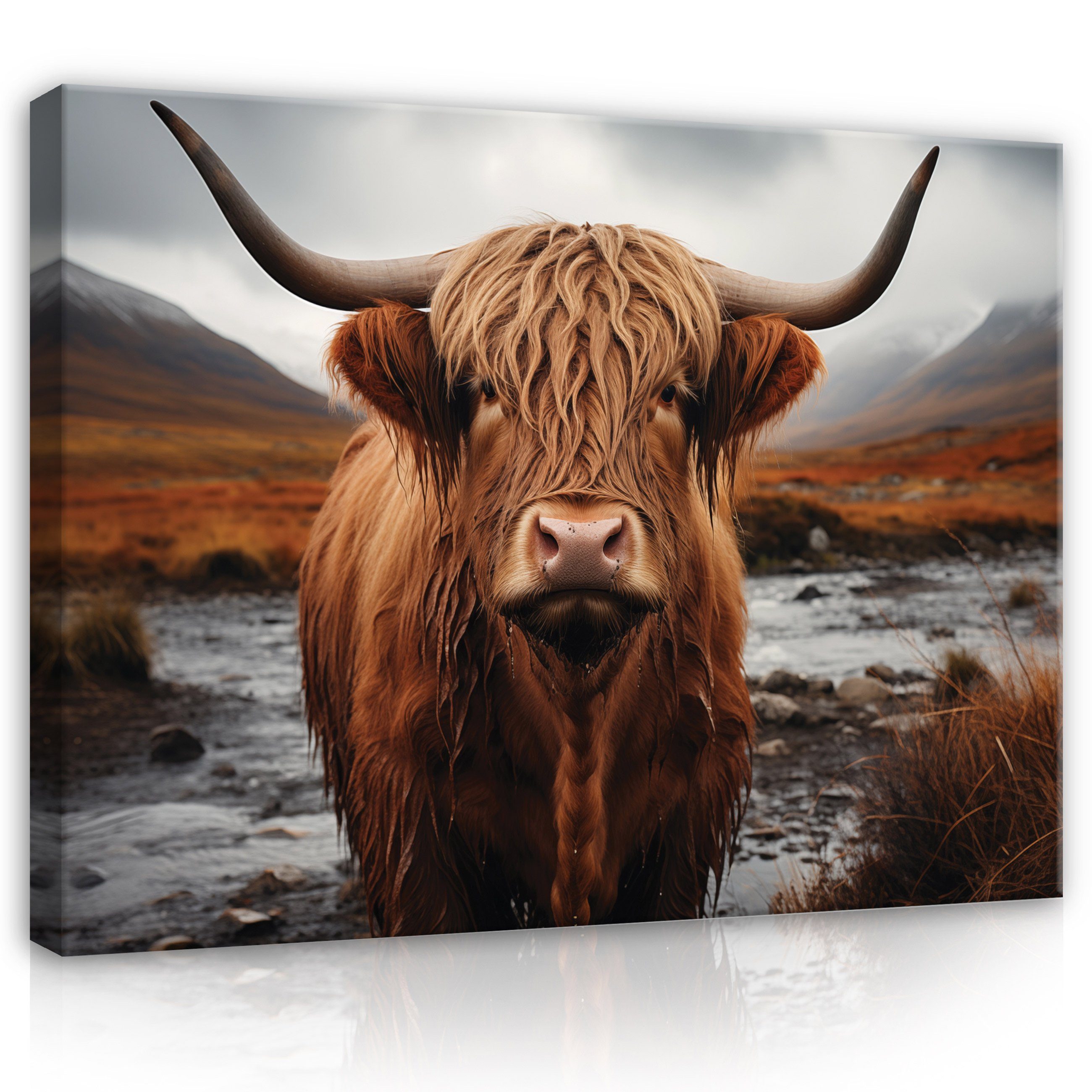 Wallarena Leinwandbild Schottisches Hochlandrind Wandbild Groß Kunstdruck A günstig online kaufen